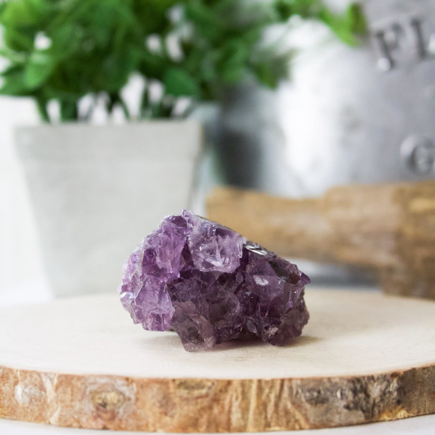 Amethyst Cluster - Small - Muse + Moonstone