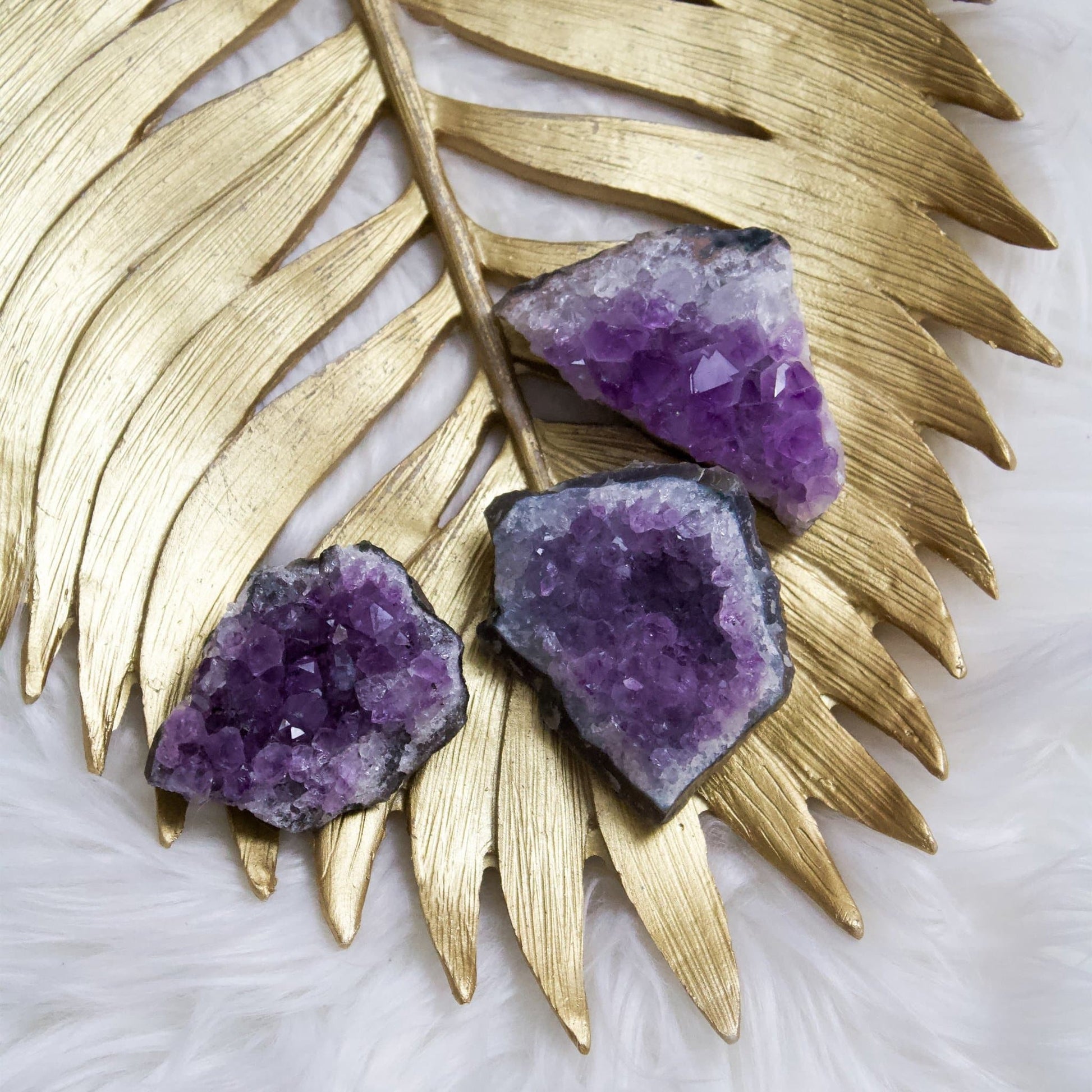 Amethyst Cluster - Small - Muse + Moonstone