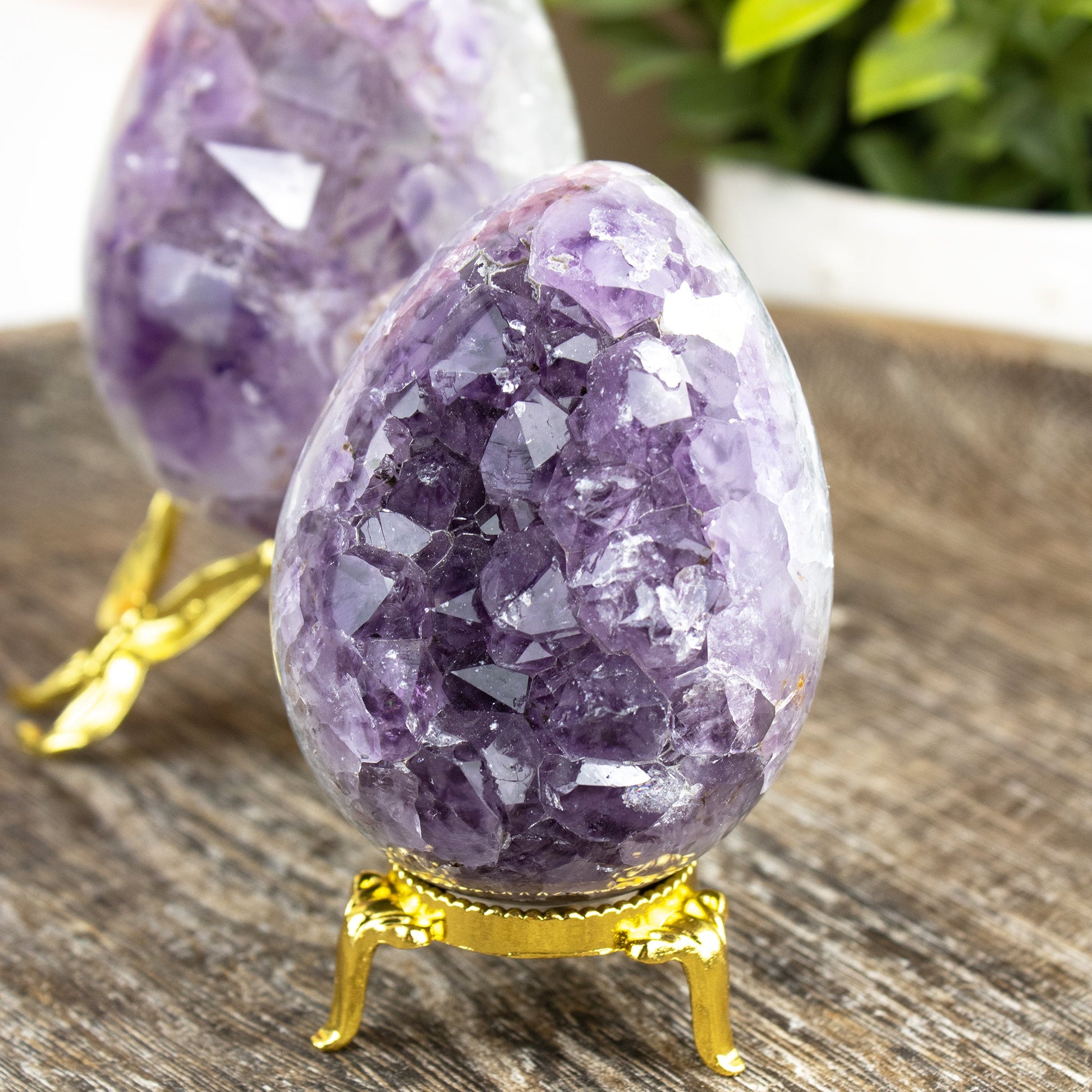 Amethyst Crystal Egg Geode - Unique Specimen #1 - Muse + Moonstone