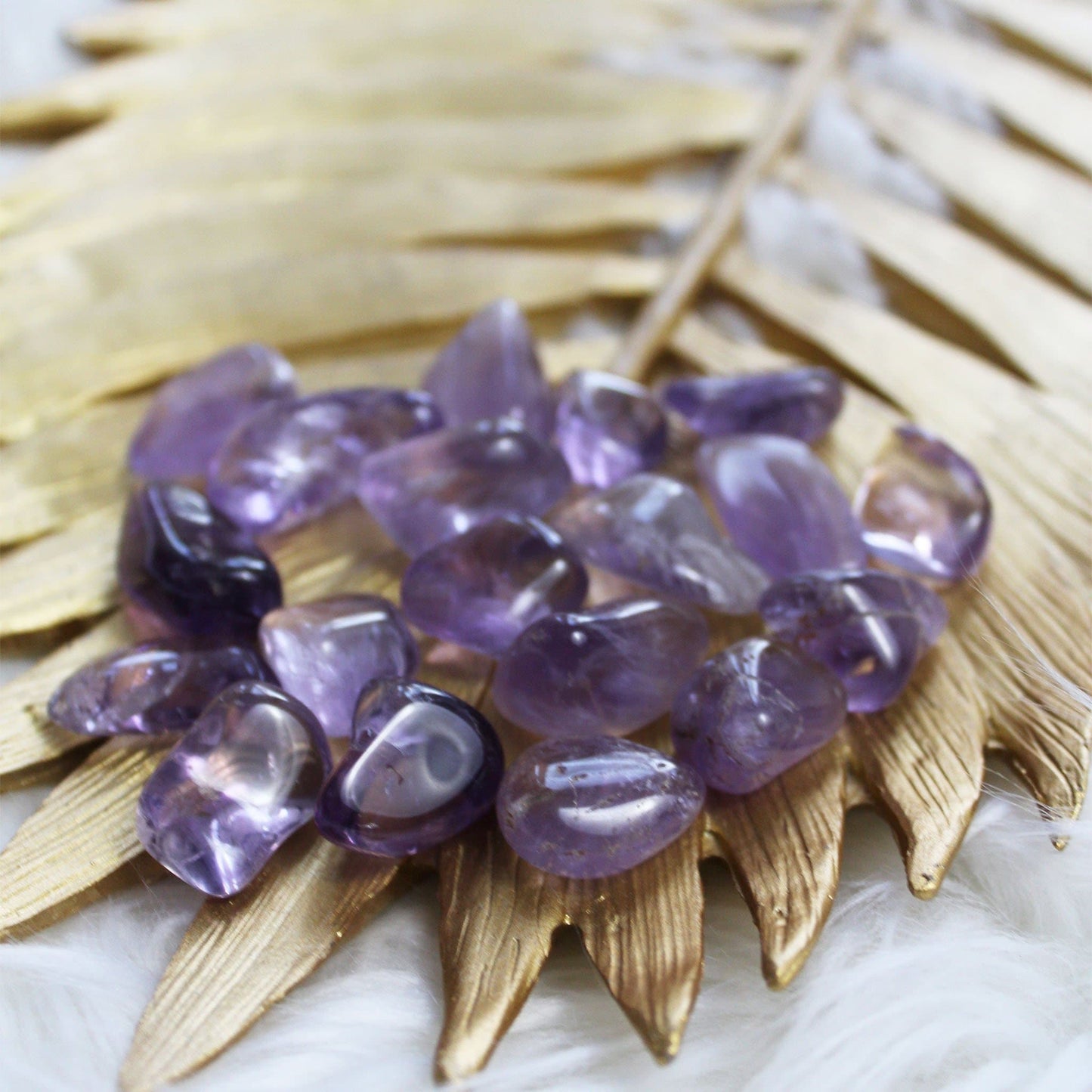 Amethyst - Tumbled Stones - Muse + Moonstone