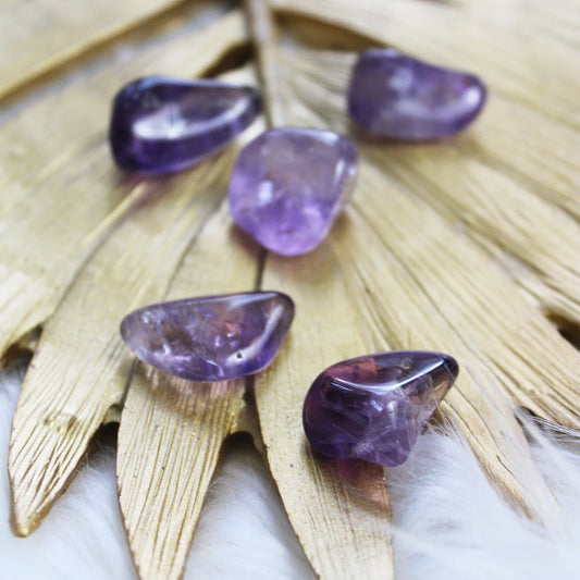 Amethyst - Tumbled Stones - Muse + Moonstone