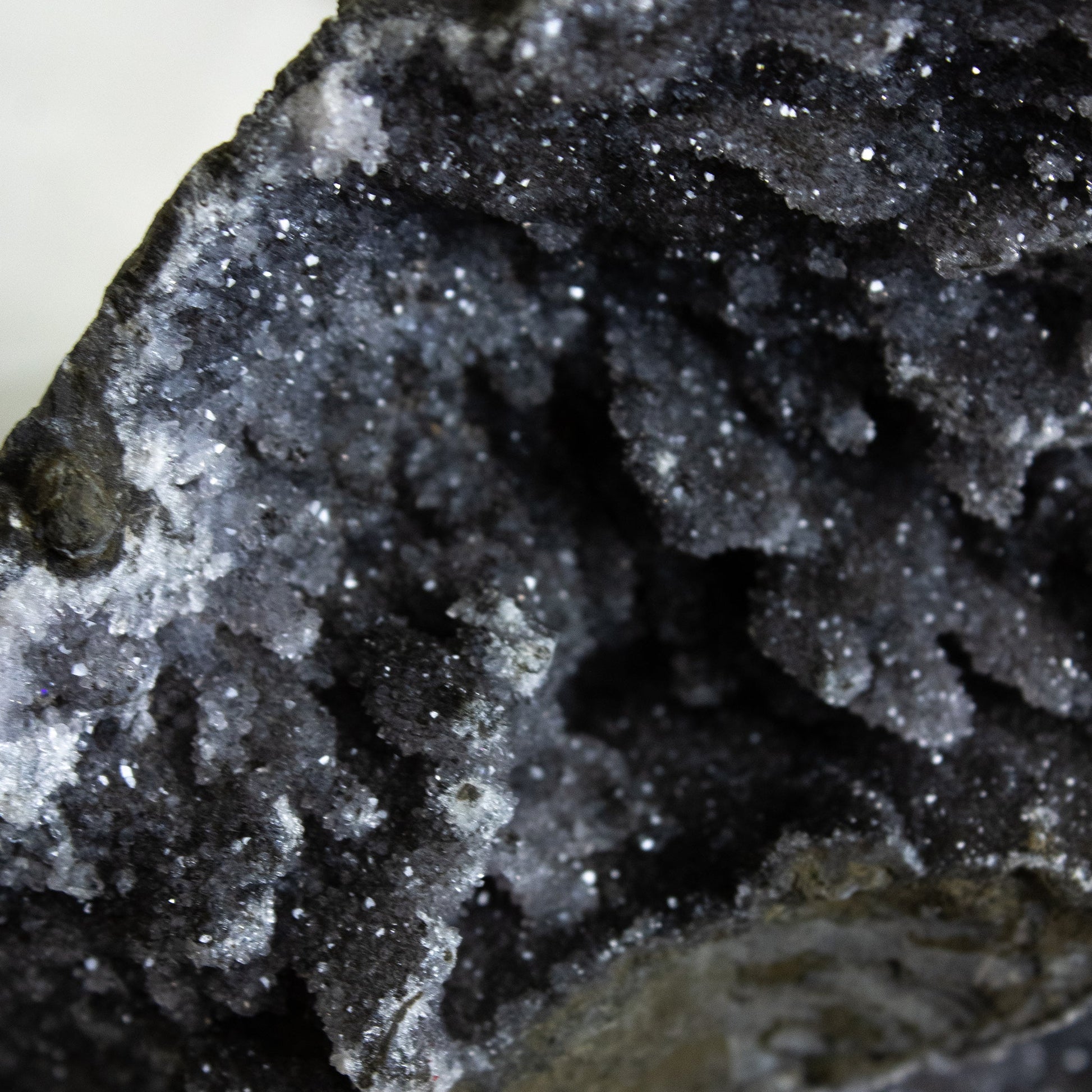Black Amethyst - Unique Specimen - #3 - Muse + Moonstone