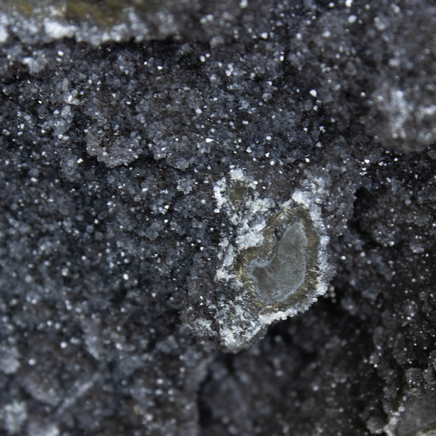 Black Amethyst - Unique Specimen - #3 - Muse + Moonstone