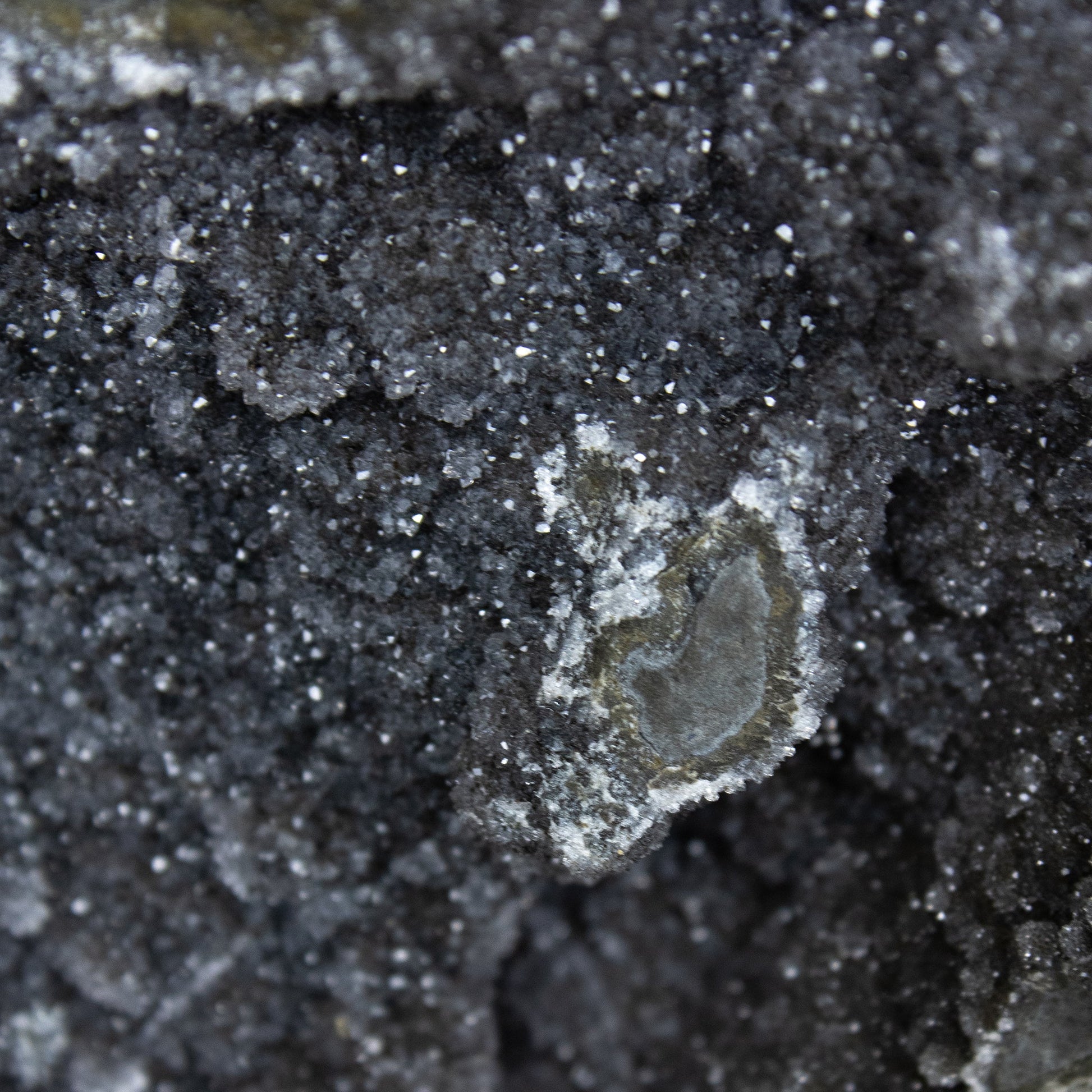 Black Amethyst - Unique Specimen - #3 - Muse + Moonstone