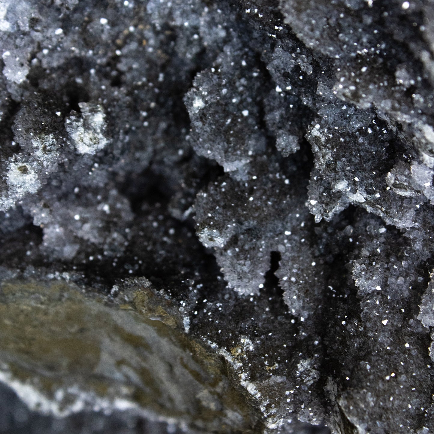 Black Amethyst - Unique Specimen - #3 - Muse + Moonstone