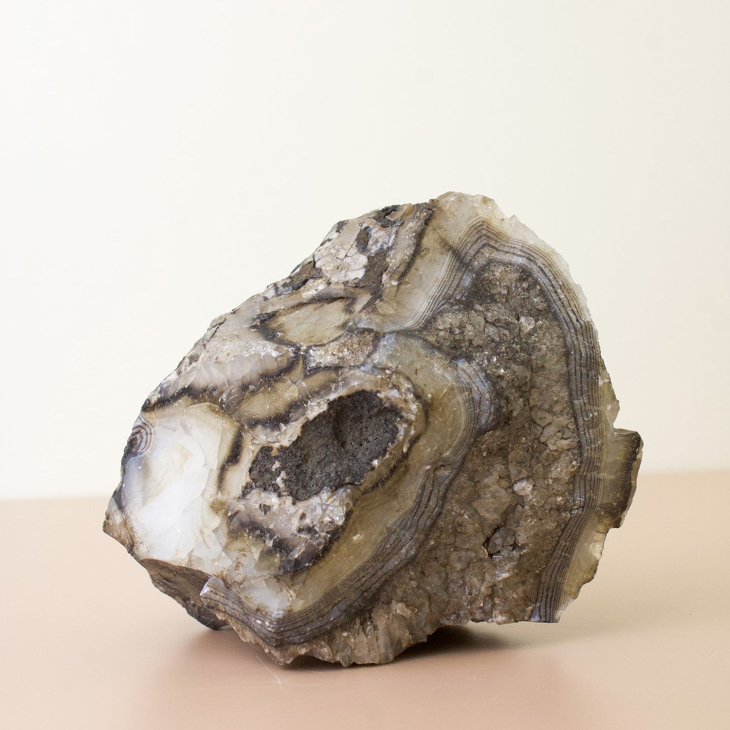 Black Onyx - Unique Specimen #2 - Muse + Moonstone