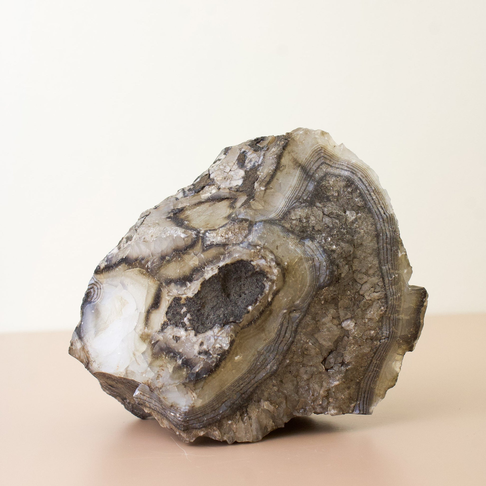 Black Onyx - Unique Specimen #2 - Muse + Moonstone