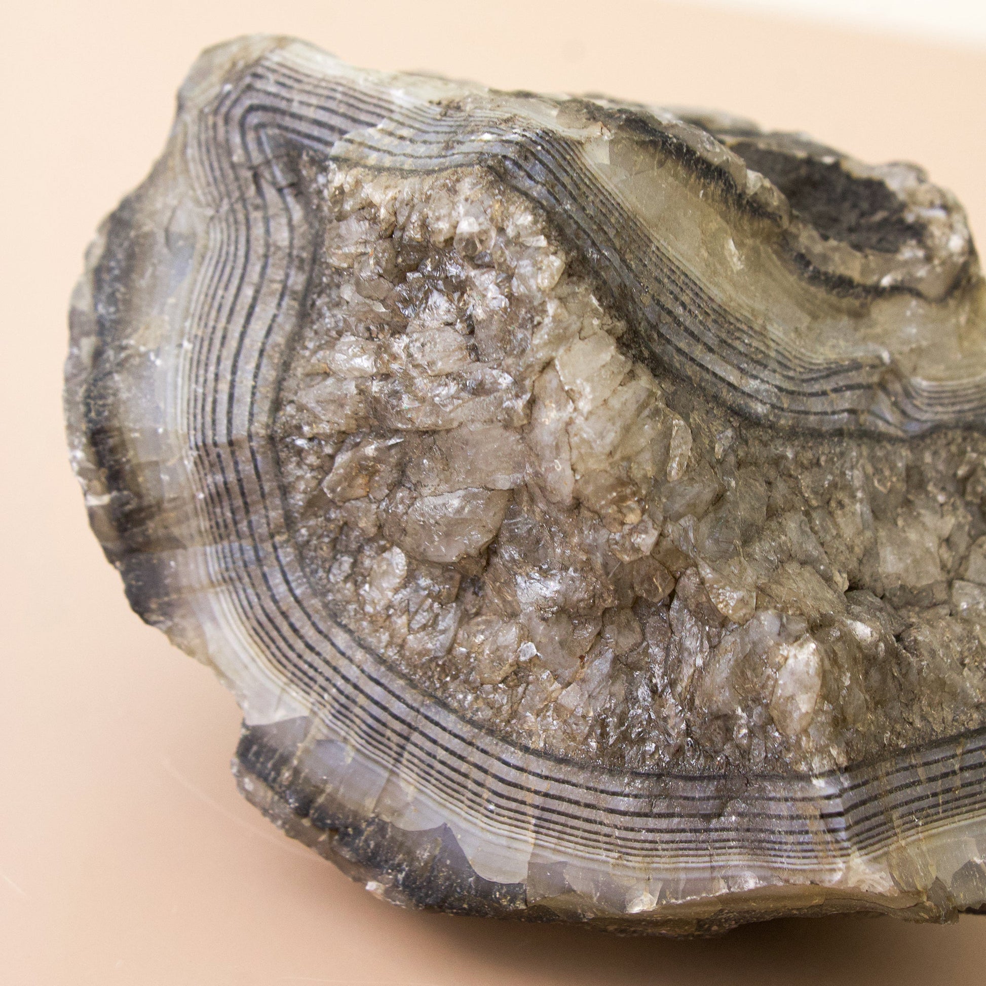 Black Onyx - Unique Specimen #2 - Muse + Moonstone