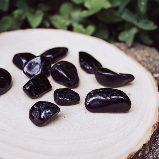 Black Tourmaline - Tumbled - Muse + Moonstone