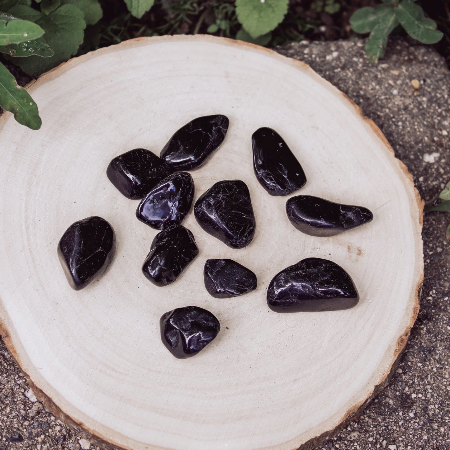 Black Tourmaline - Tumbled - Muse + Moonstone