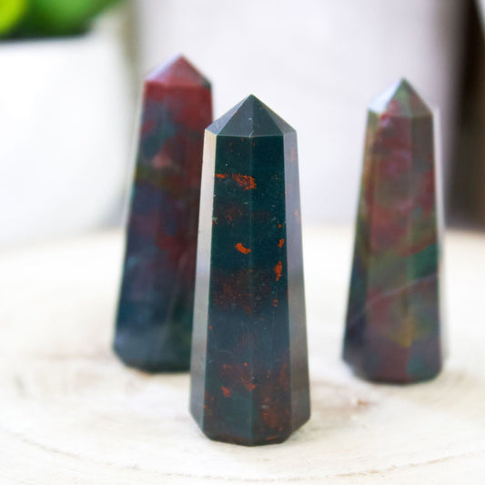 Bloodstone - Polished Point - Muse + Moonstone