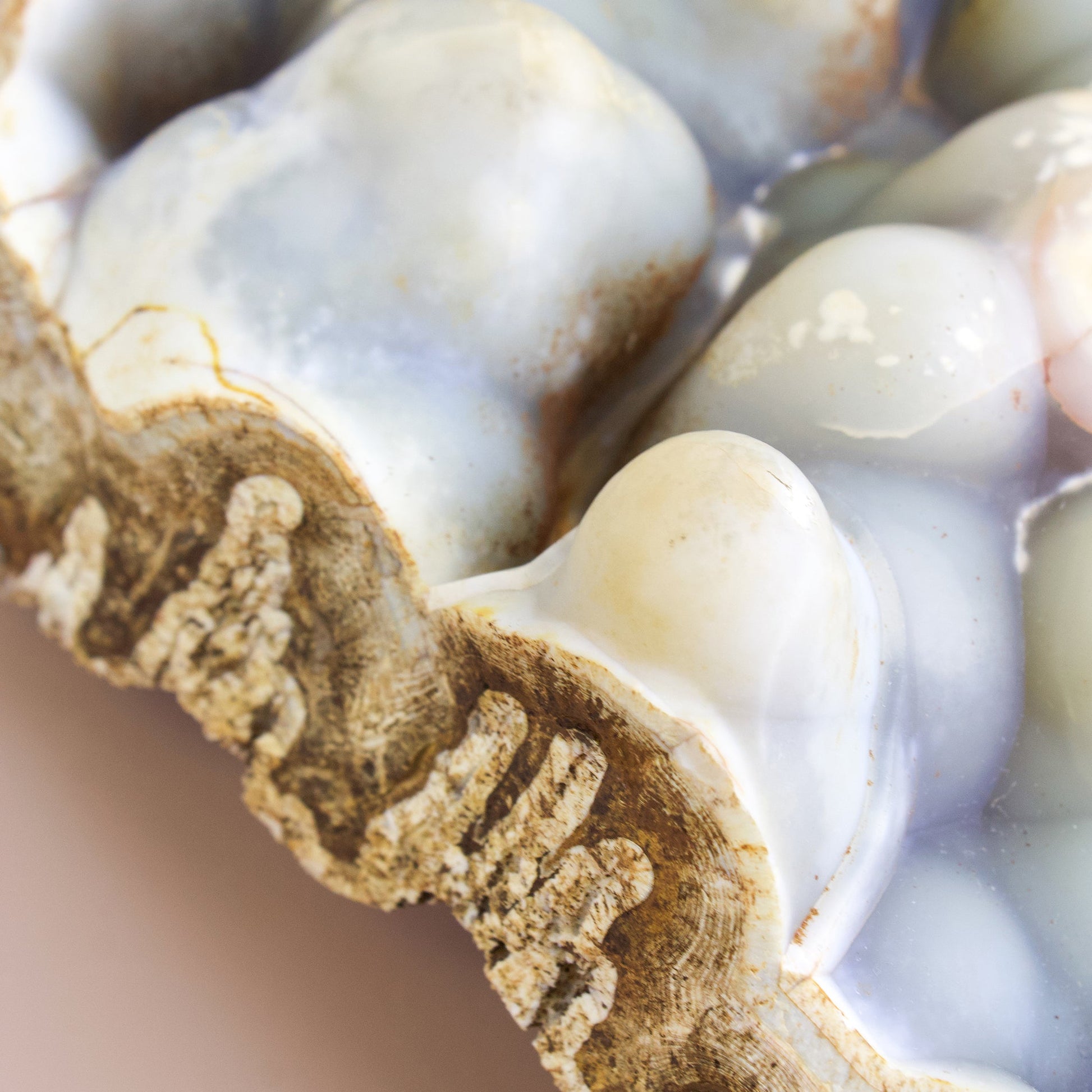 Botryoidal Agate - Unique Specimen #1 - Muse + Moonstone