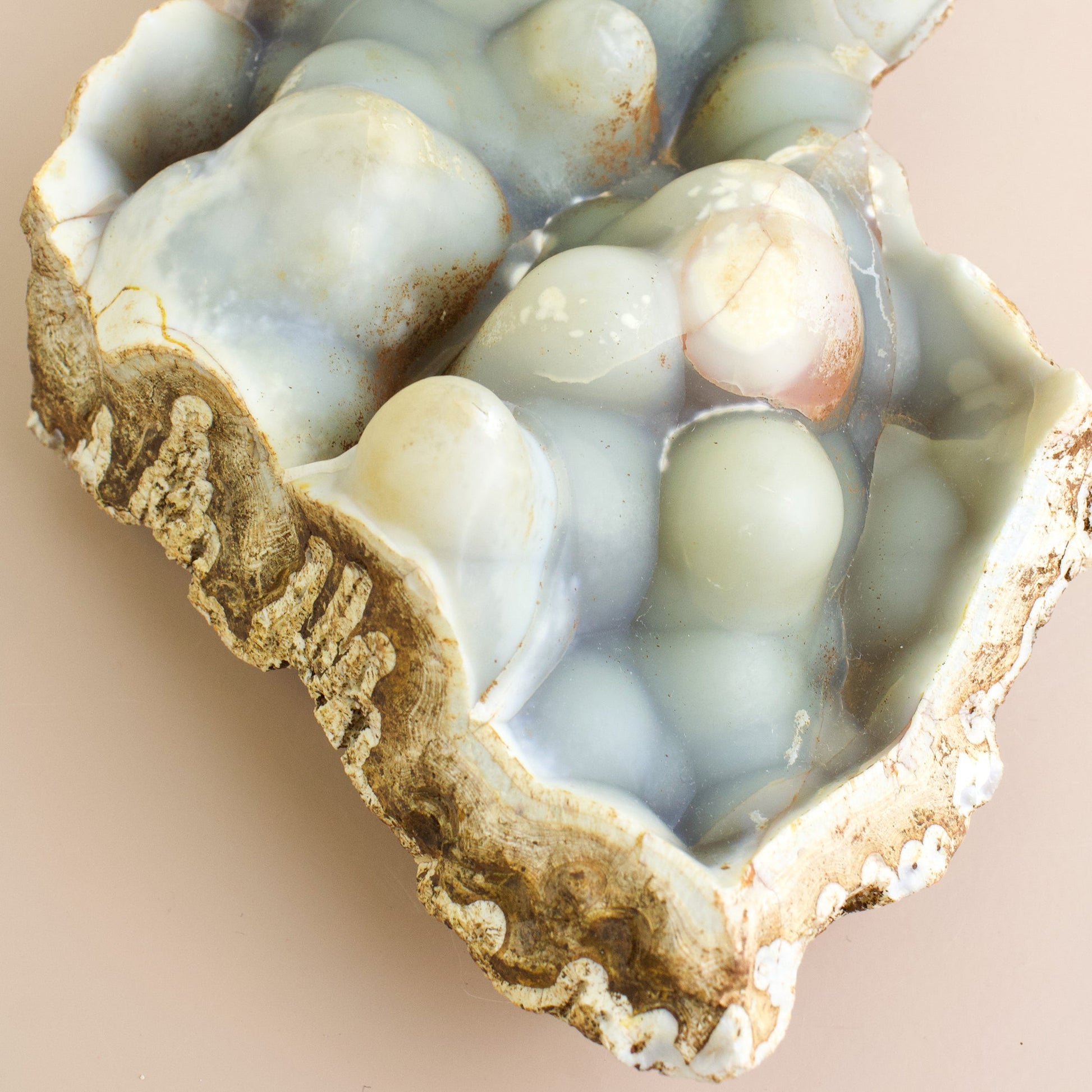 Botryoidal Agate - Unique Specimen #1 - Muse + Moonstone