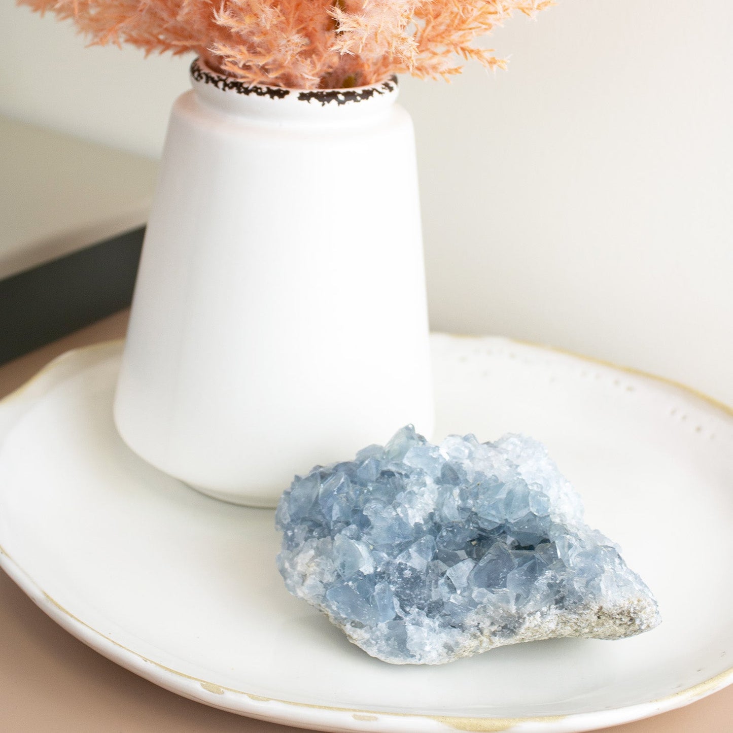 Celestite - Unique Specimen #2 - Muse + Moonstone