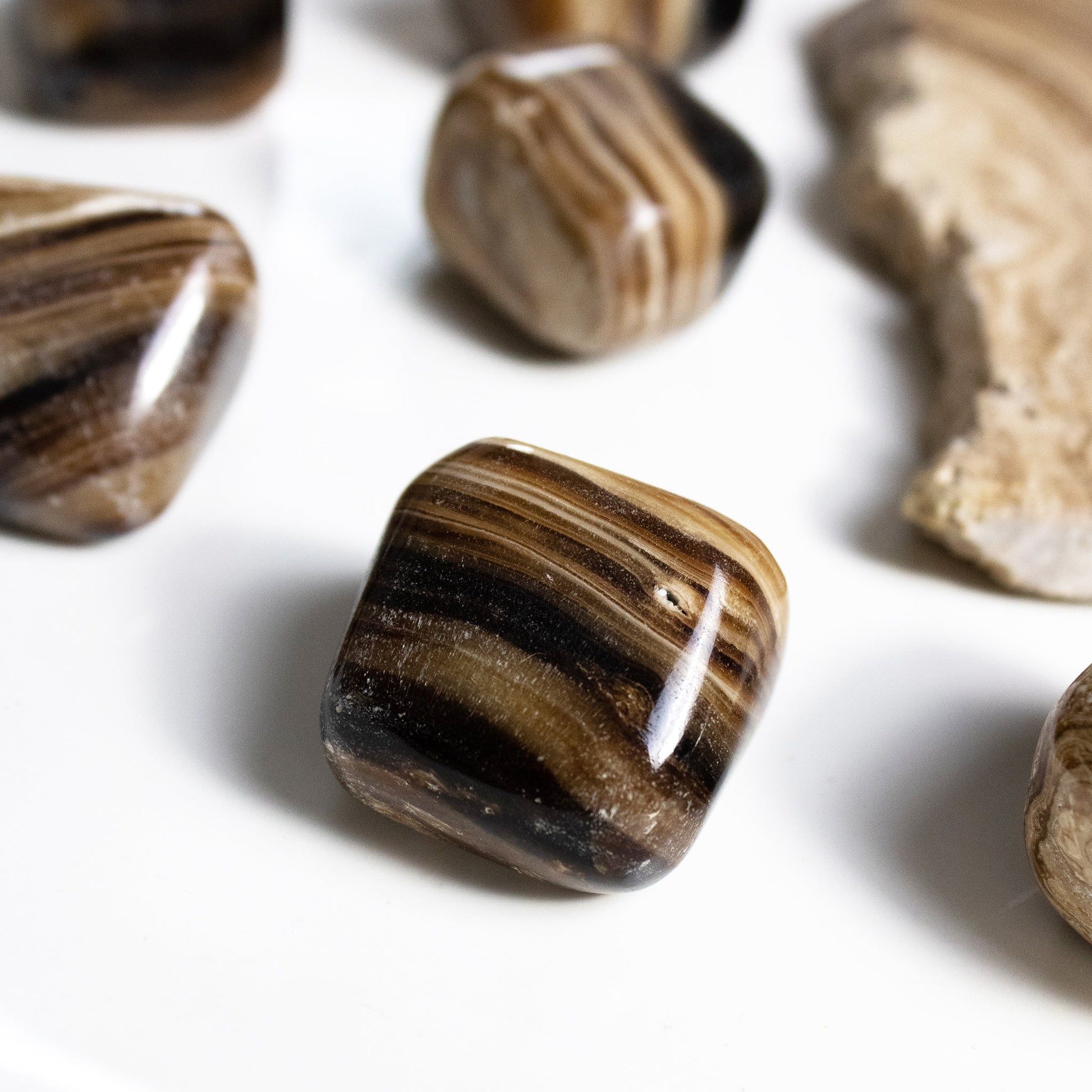 Chocolate Calcite - Tumbled Stones - Muse + Moonstone