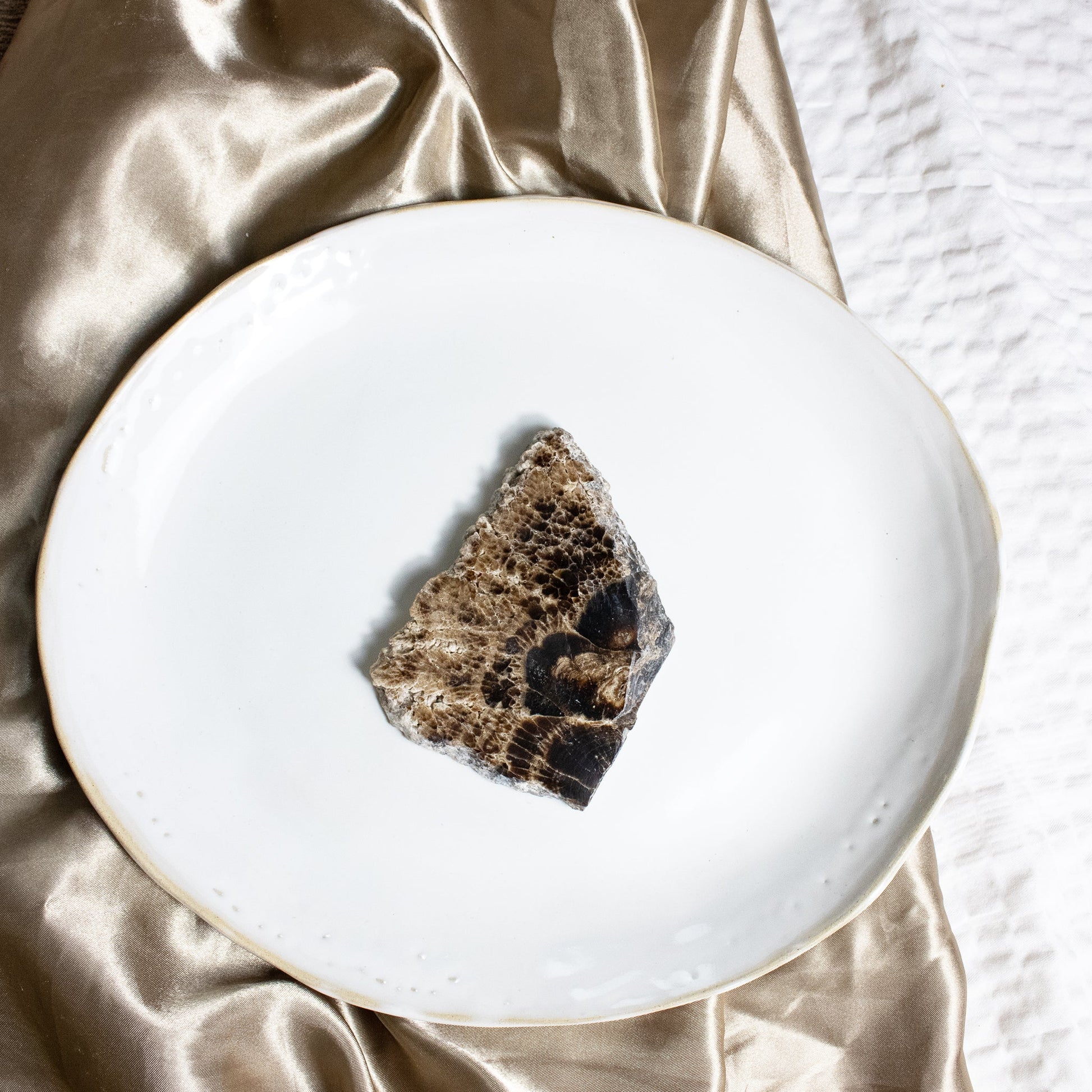 Chocolate Calcite - Unique Slab #4 - Muse + Moonstone