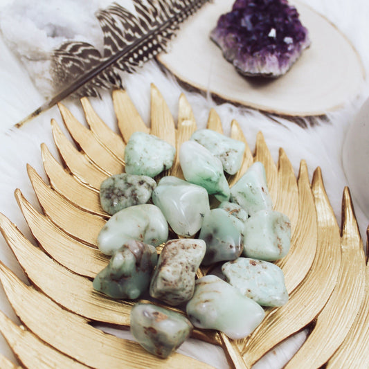 Chrysoprase - Tumbled - Muse + Moonstone