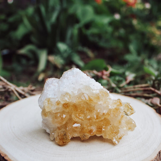 Citrine Cluster - Medium - Muse + Moonstone