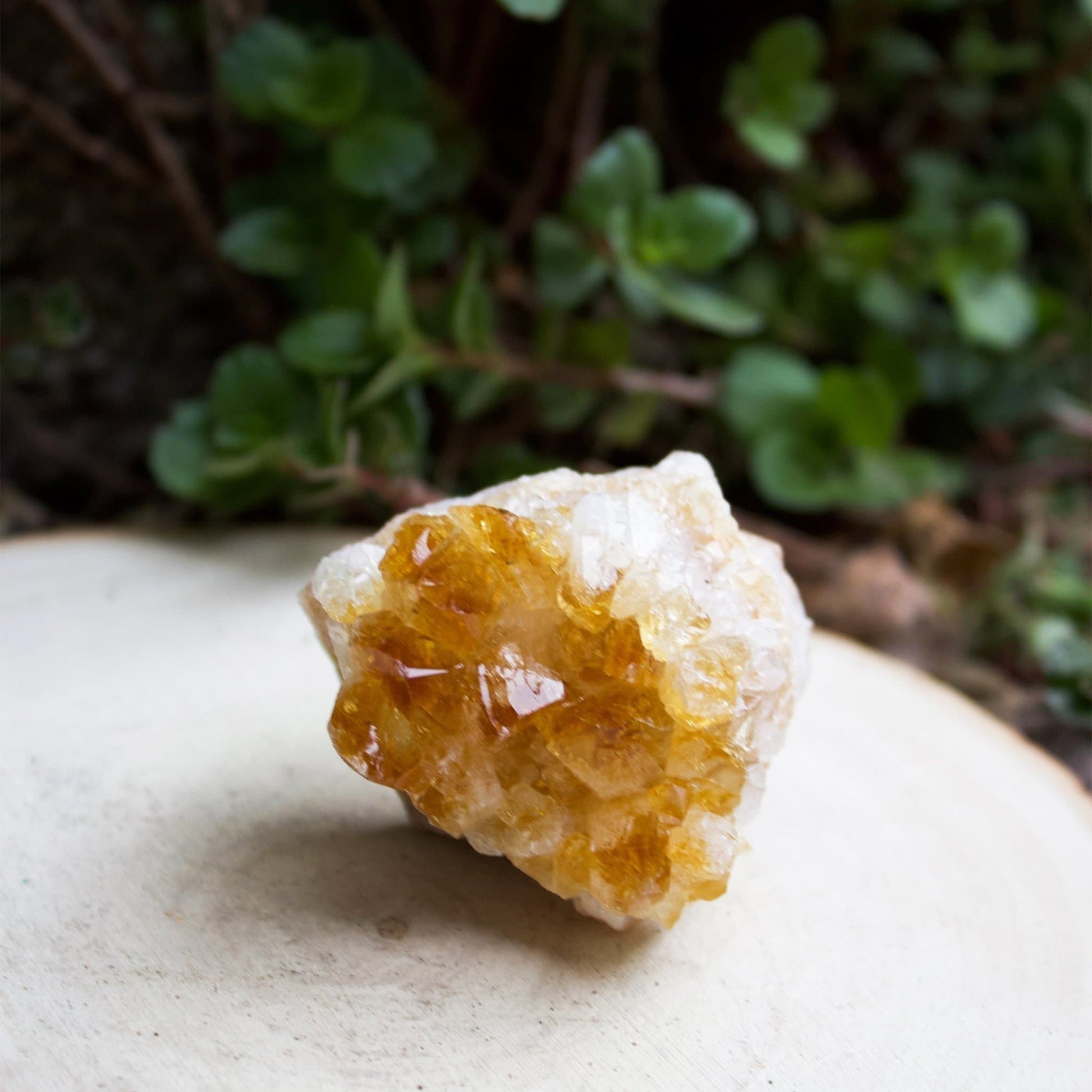 Citrine Cluster - Small - Muse + Moonstone
