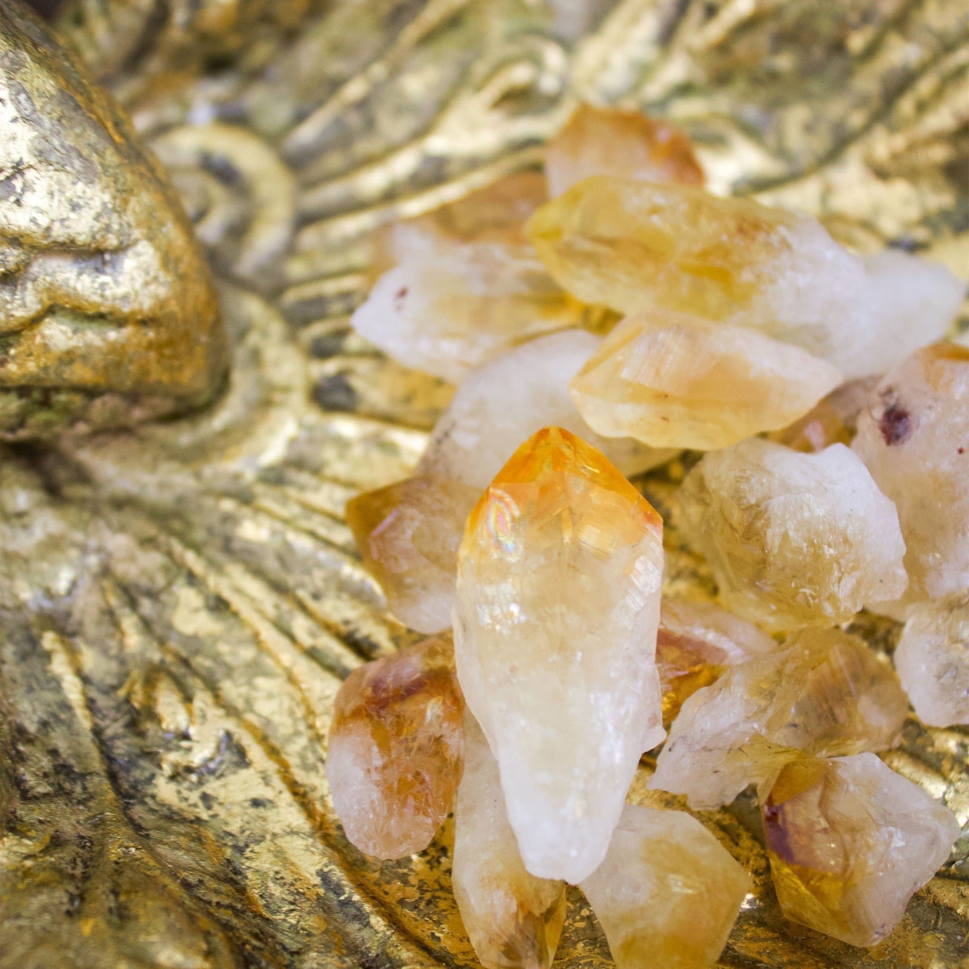 Citrine - Crystal Points - Muse + Moonstone