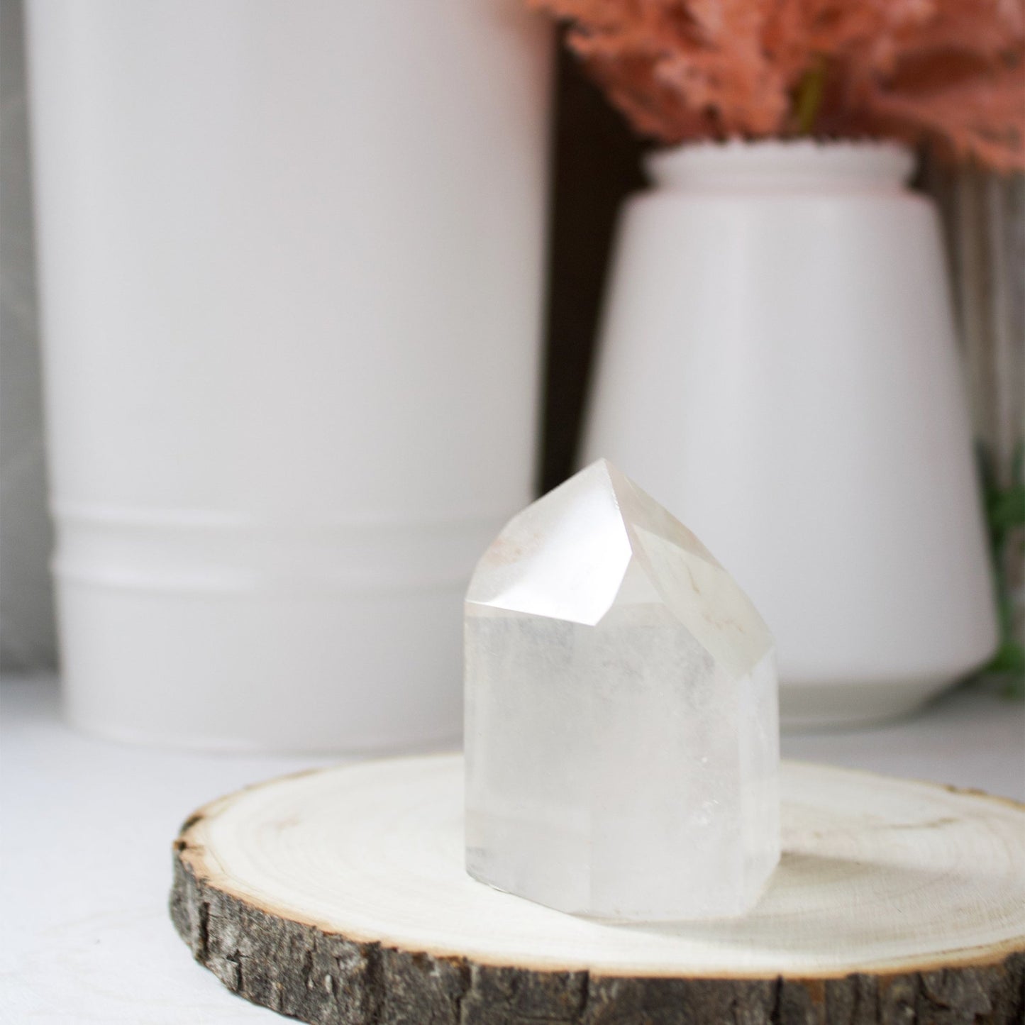 Clear Quartz Generator - Unique Specimen #5 - Muse + Moonstone
