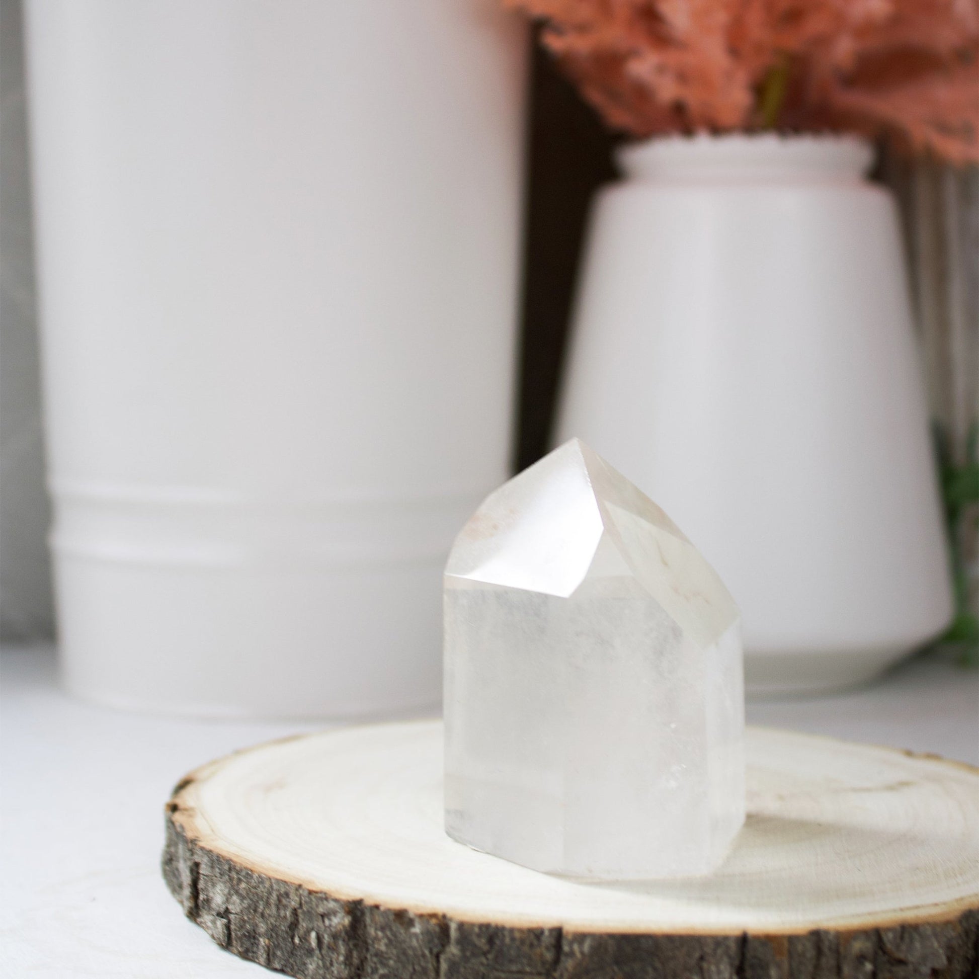 Clear Quartz Generator - Unique Specimen #5 - Muse + Moonstone