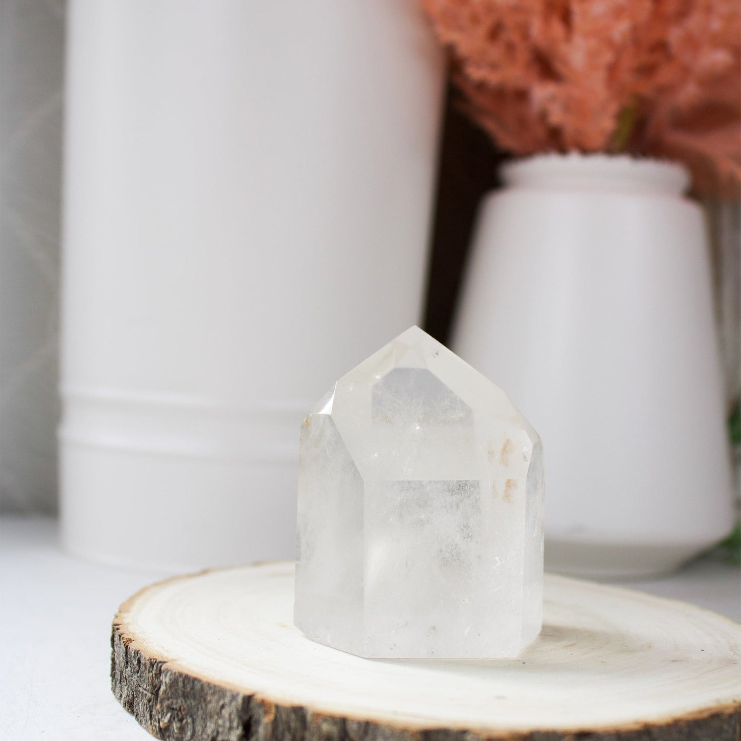 Clear Quartz Generator - Unique Specimen #5 - Muse + Moonstone
