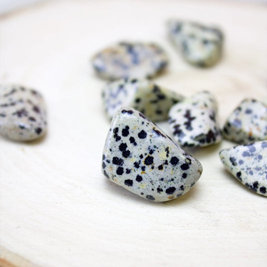 Dalmatian Jasper - Tumbled - Muse + Moonstone