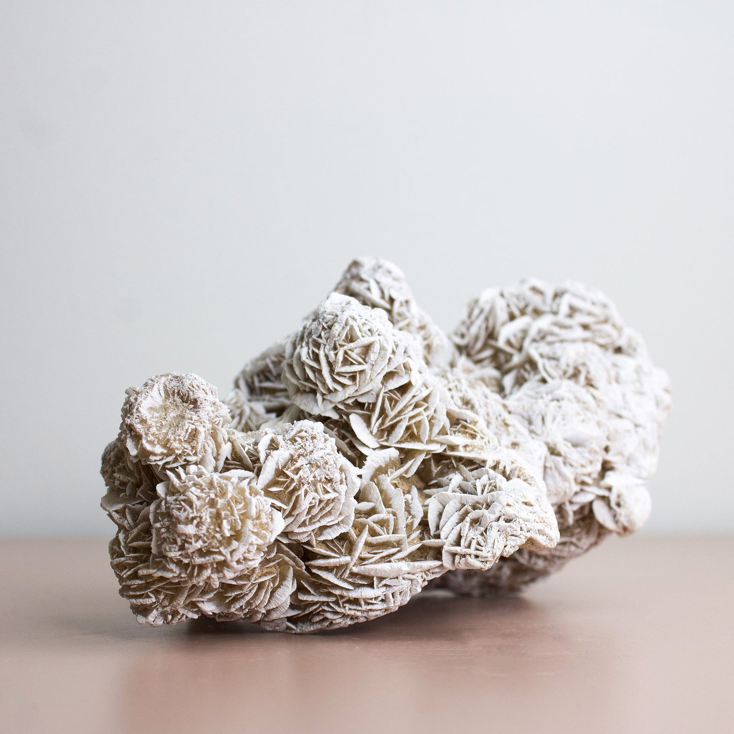 Desert Rose - Unique Specimen #2 - Muse + Moonstone