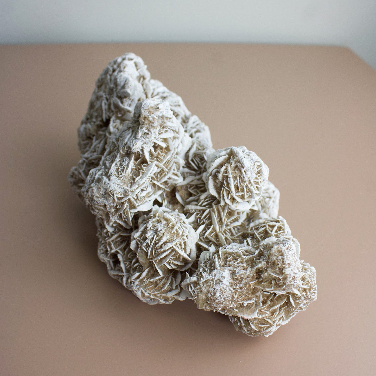 Desert Rose - Unique Specimen #2 - Muse + Moonstone