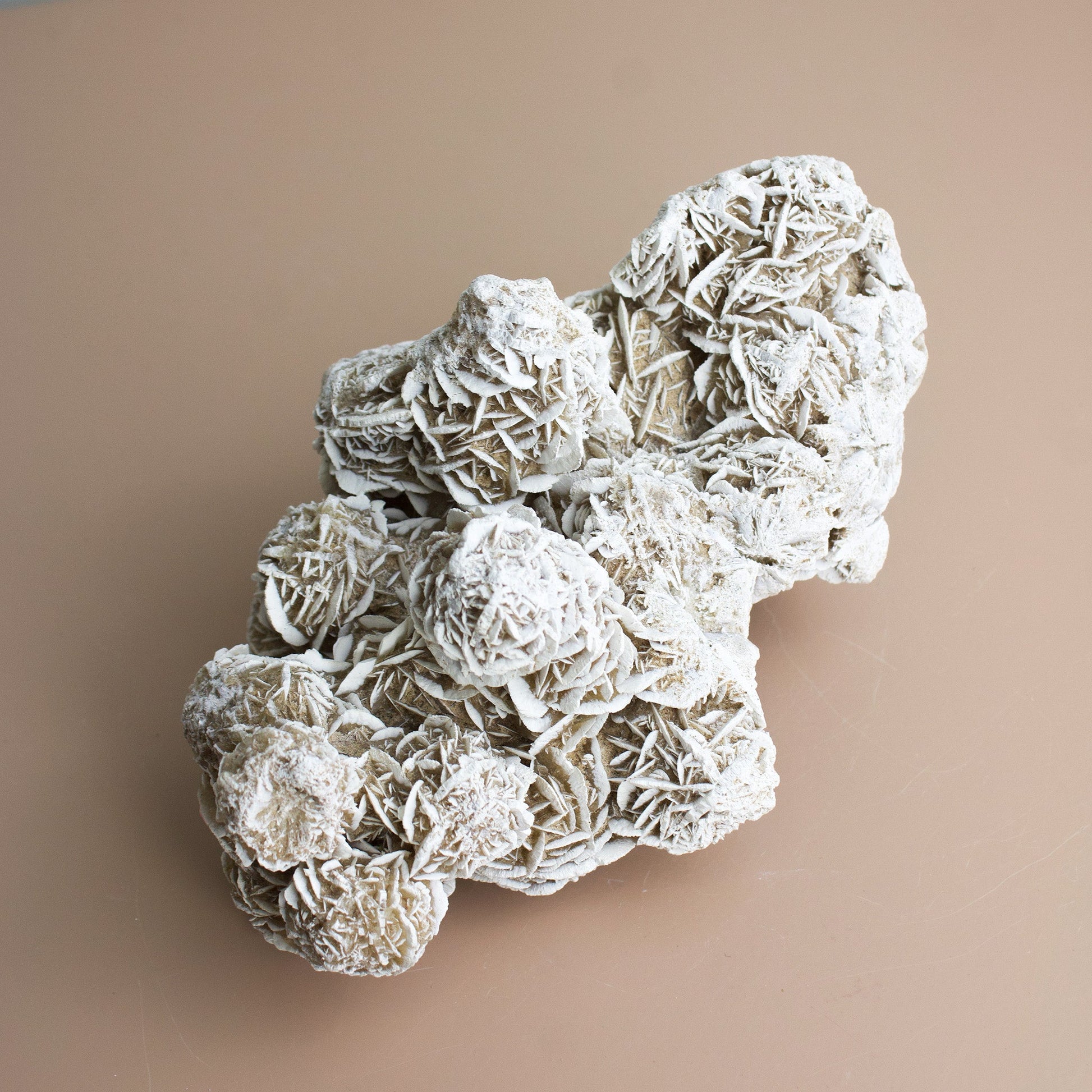 Desert Rose - Unique Specimen #2 - Muse + Moonstone