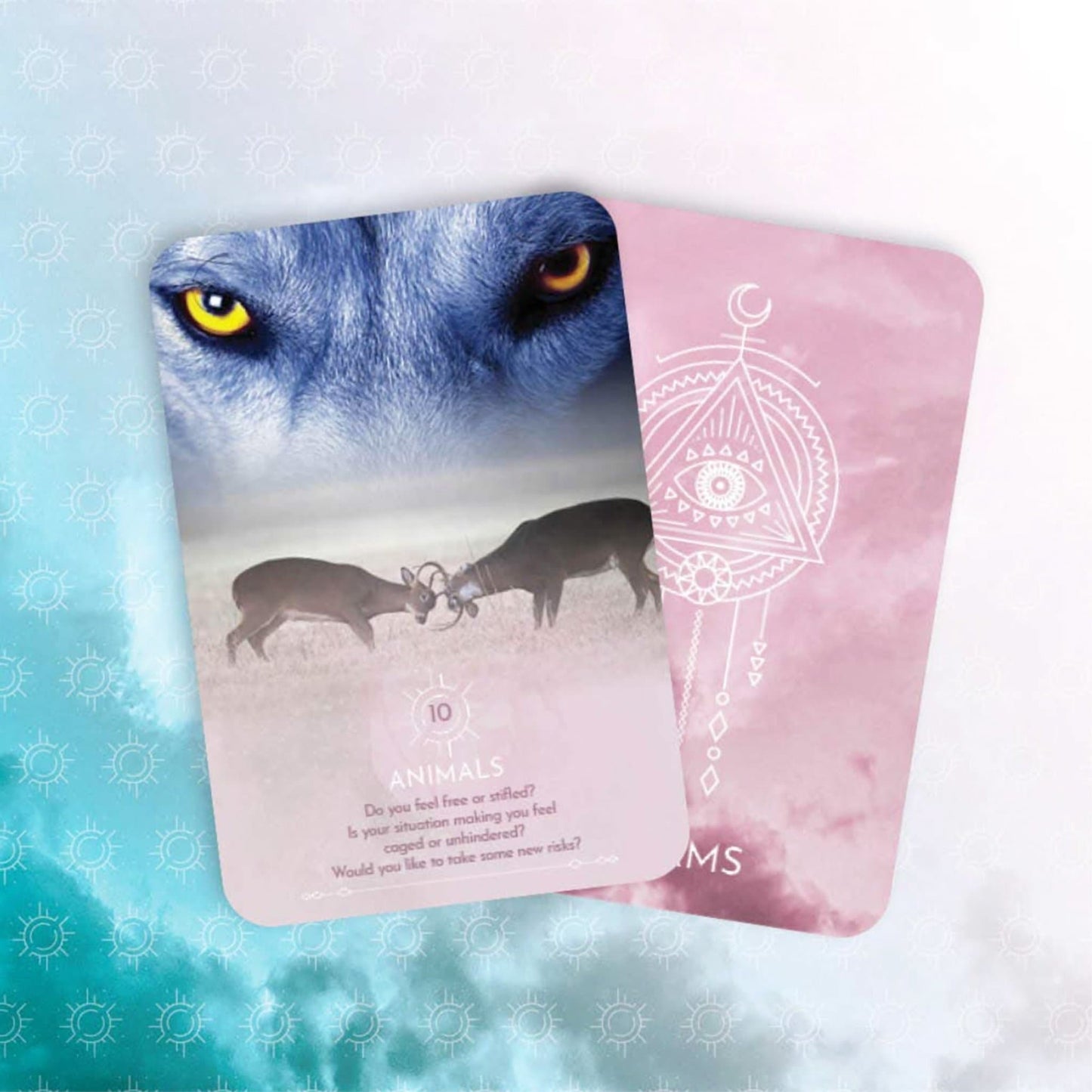 Dream Reading Cards: Awaken your Intuitive Subconscious - Muse + Moonstone