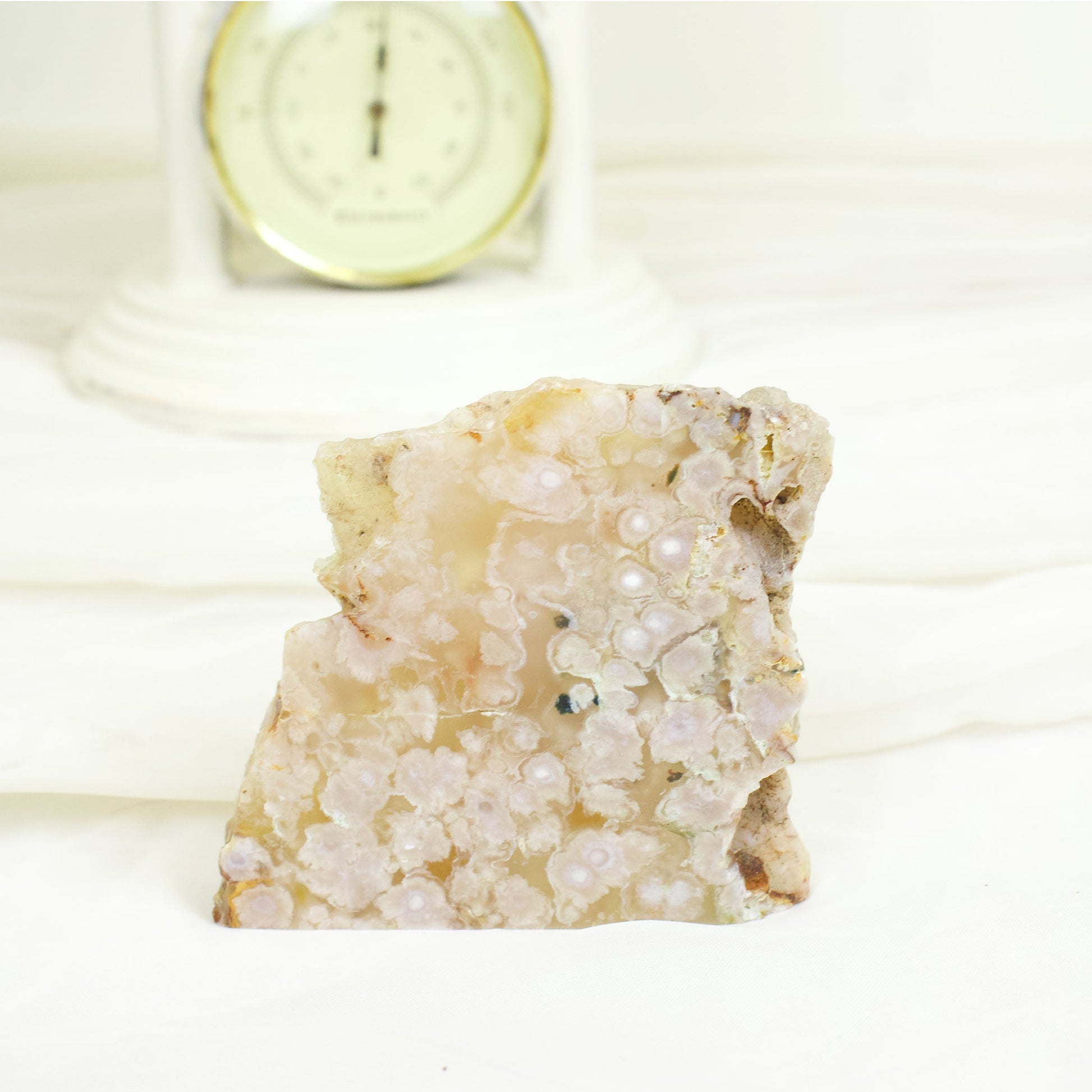 Flower Agate - Unique Slab #1 - Muse + Moonstone