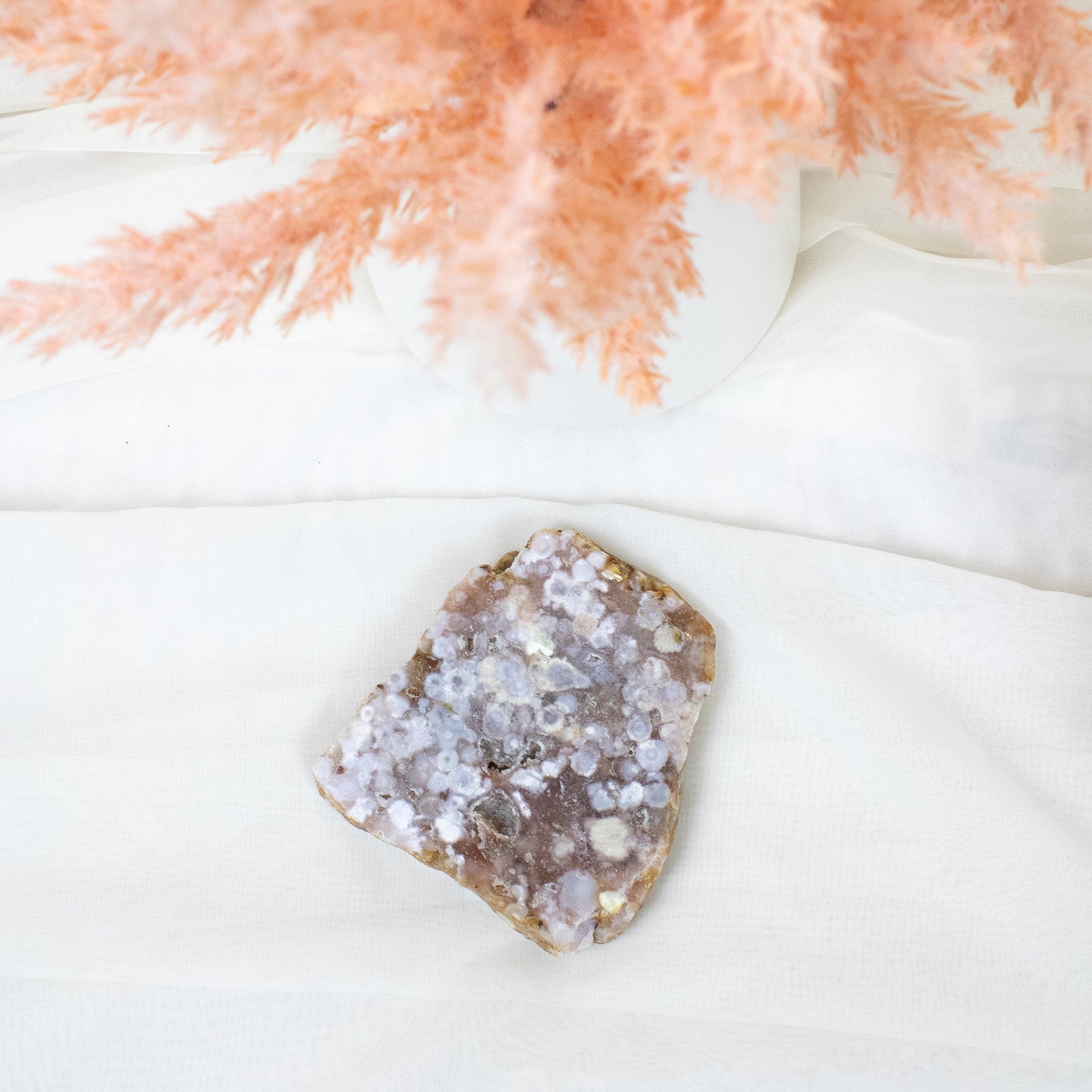 Flower Agate - Unique Slab #2 - Muse + Moonstone