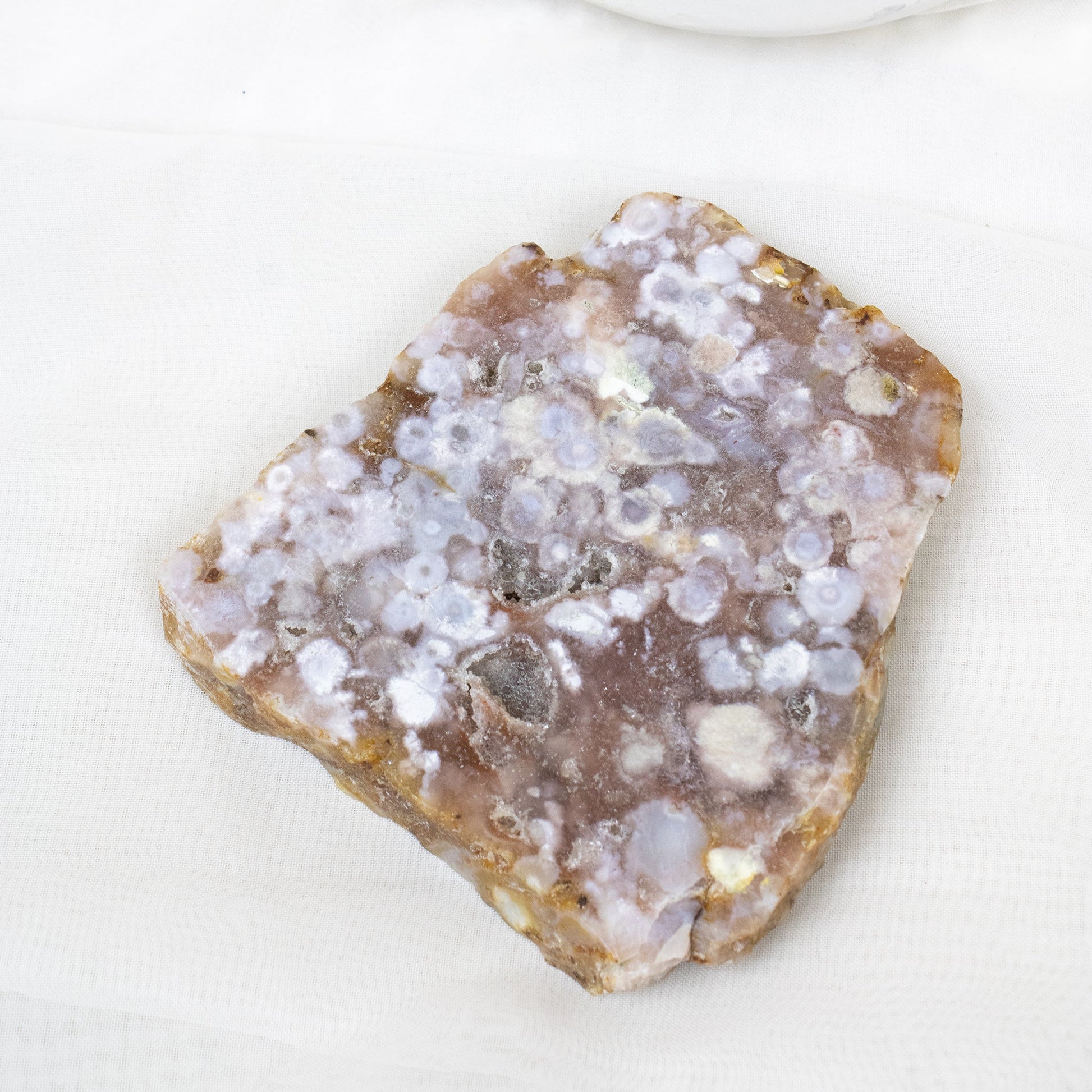 Flower Agate - Unique Slab #2 - Muse + Moonstone