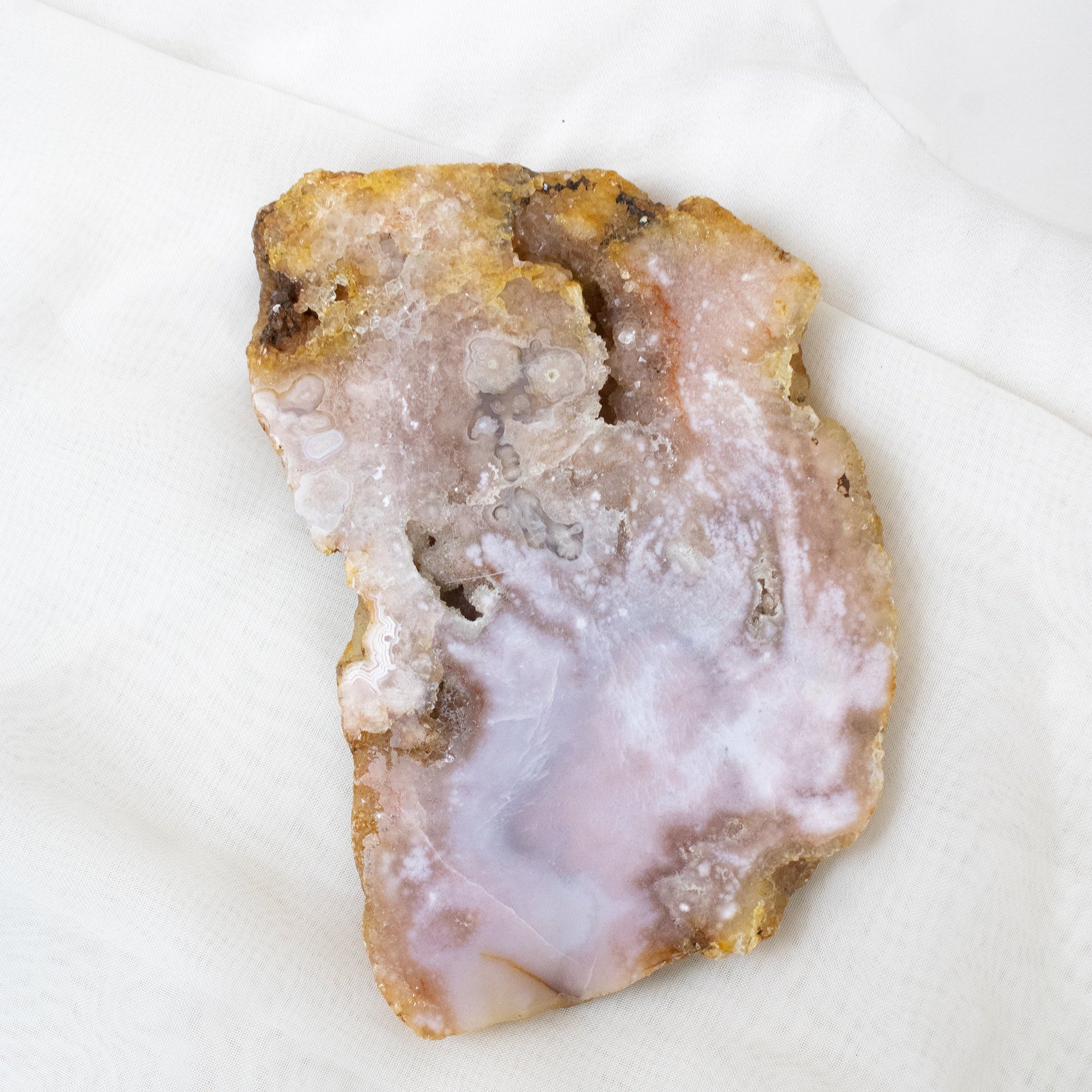 Flower Agate - Unique Slab #3 - Muse + Moonstone