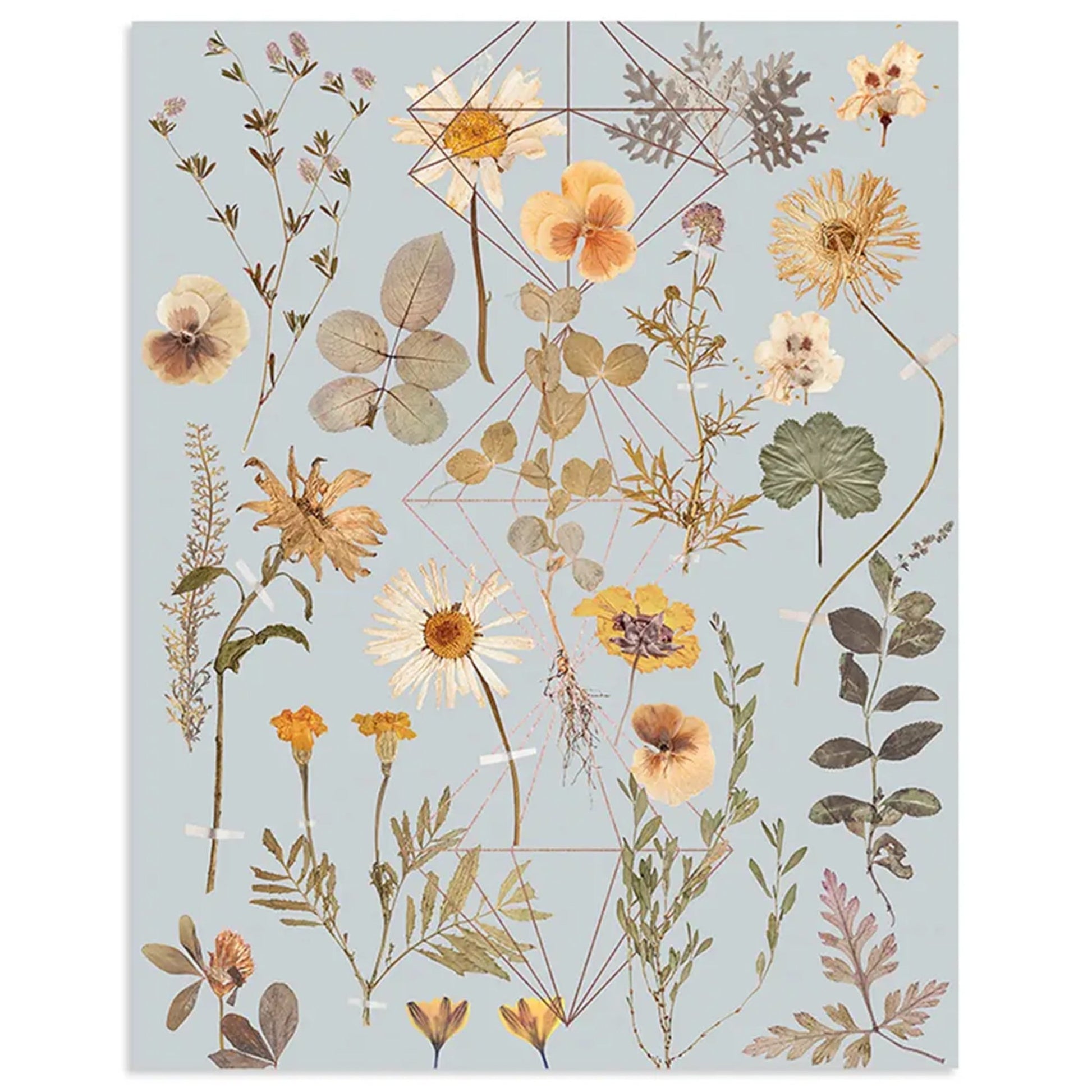 Golden Garden - Copper Art Print | PAPAYA - Muse + Moonstone