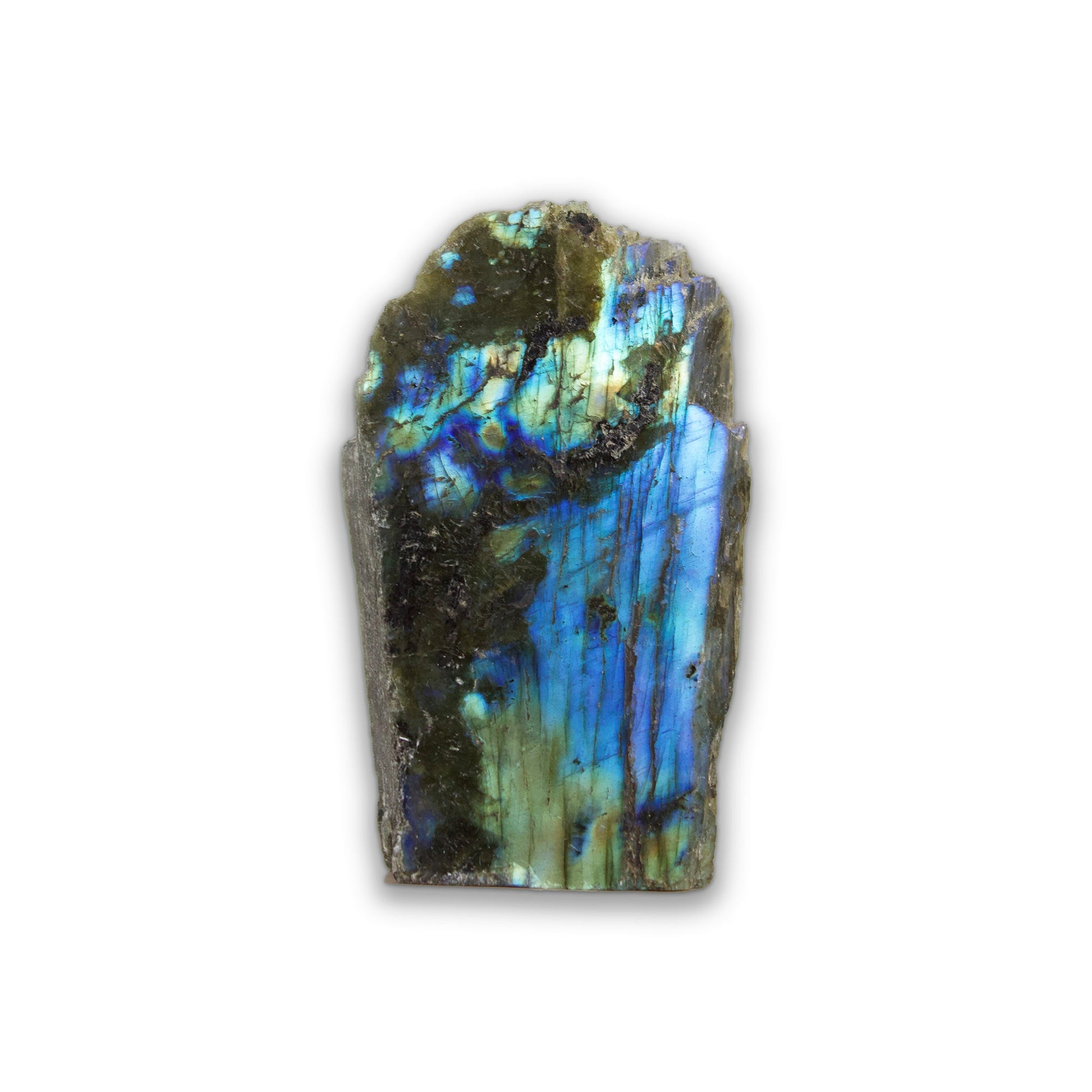 Labradorite - Polished Slice #4 - Muse + Moonstone