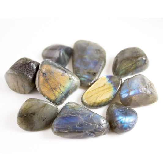 Labradorite - Tumbled - Muse + Moonstone