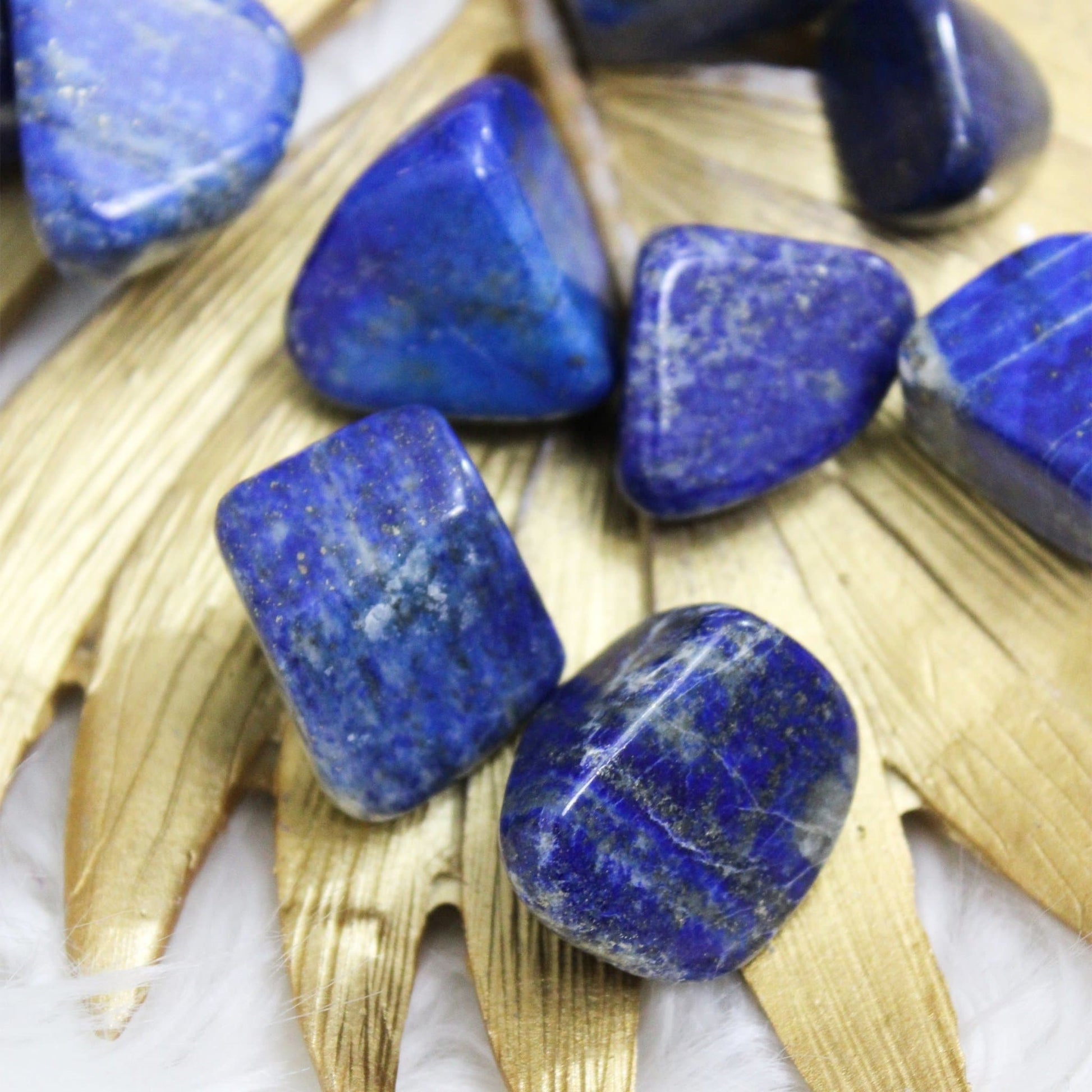 Lapis Lazuli - Tumbled - Muse + Moonstone