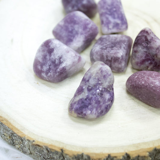 Lepidolite - Tumbled - Muse + Moonstone