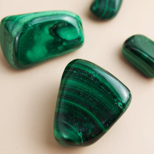 Malachite - Tumbled - Muse + Moonstone