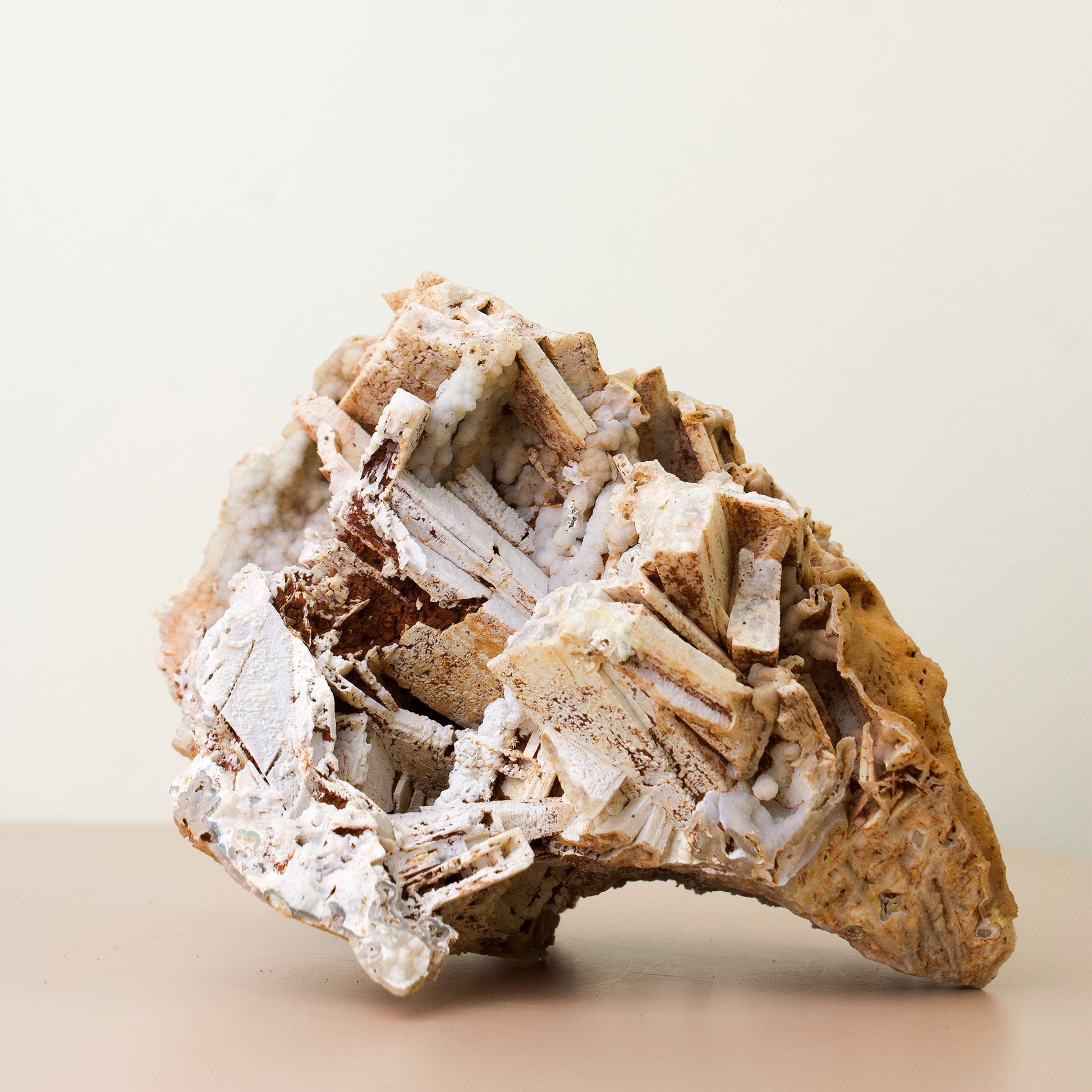 "Mixed Media" Unique Specimen #1 - Agatized Coral/Anyhydrite - Muse + Moonstone