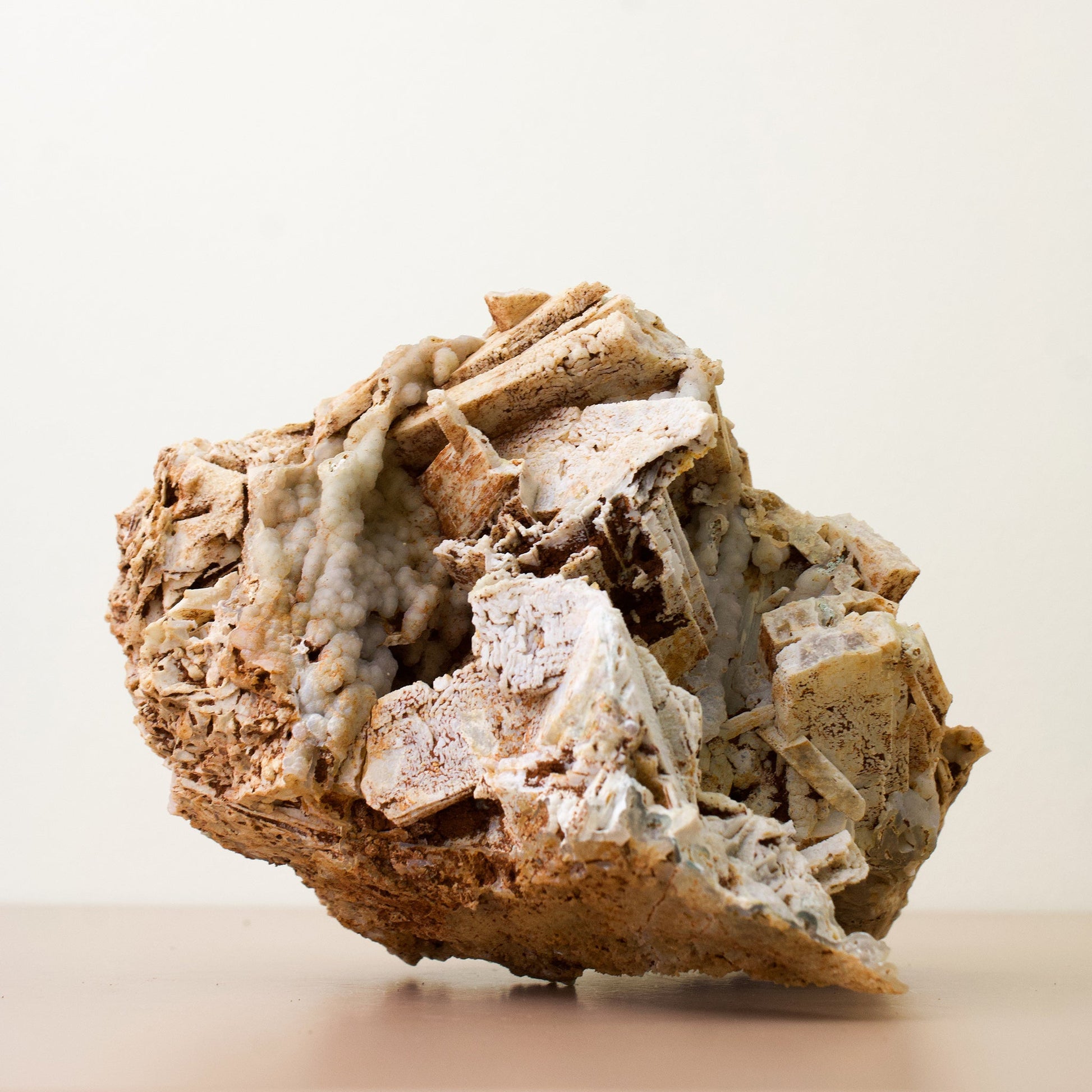 "Mixed Media" Unique Specimen #1 - Agatized Coral/Anyhydrite - Muse + Moonstone