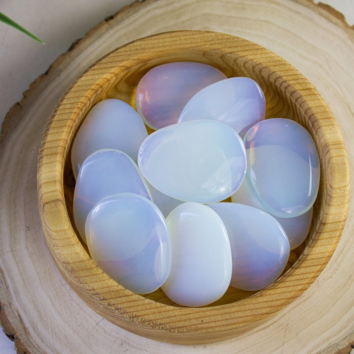 Opalite - Mini Palm Stones - Muse + Moonstone