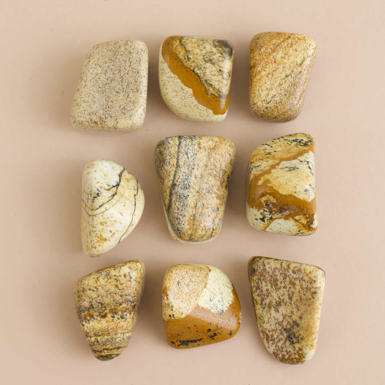 Picture Jasper Tumbled Stone Muse + Moonstone Crystals