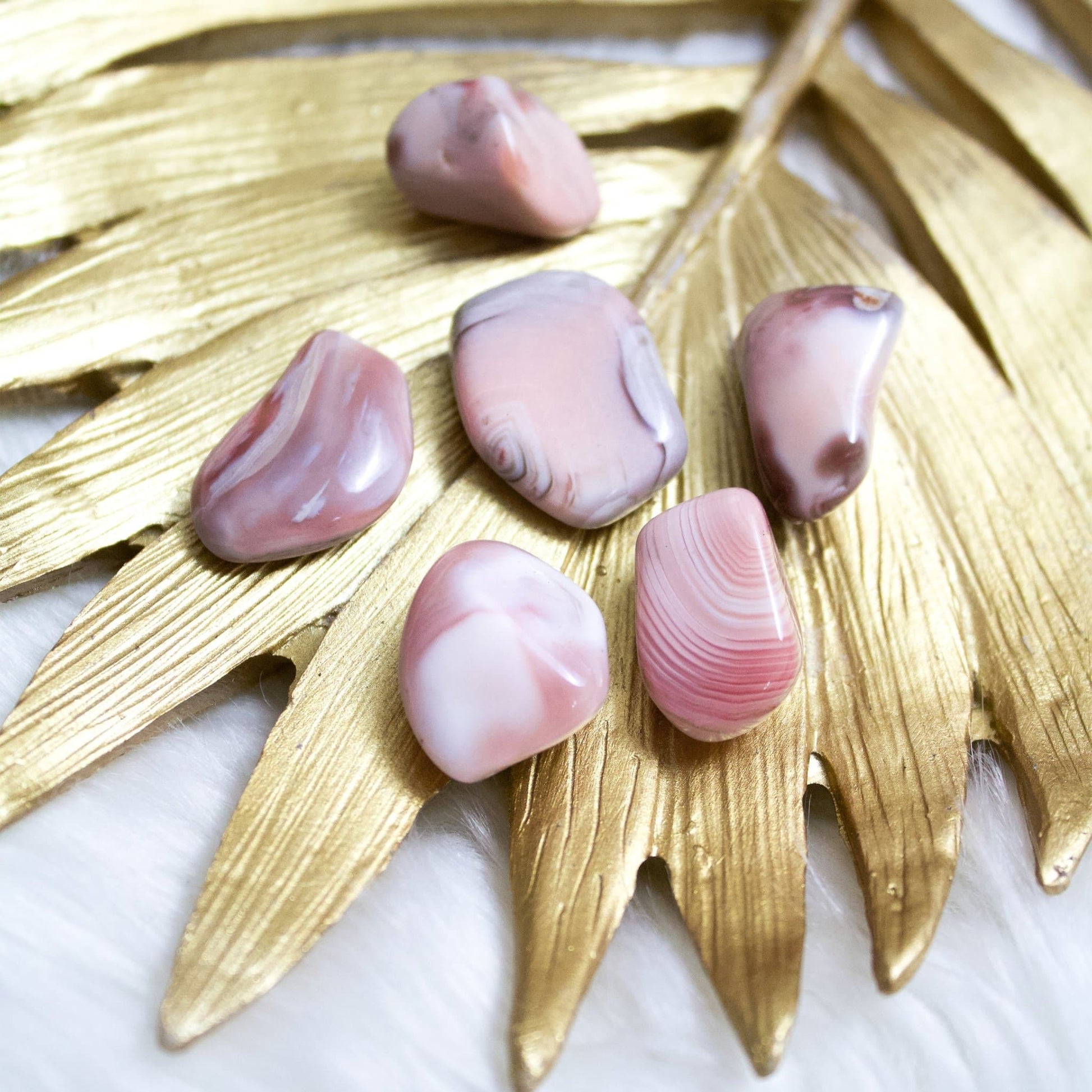 Pink Agate (Botswana) - Tumbled - Muse + Moonstone