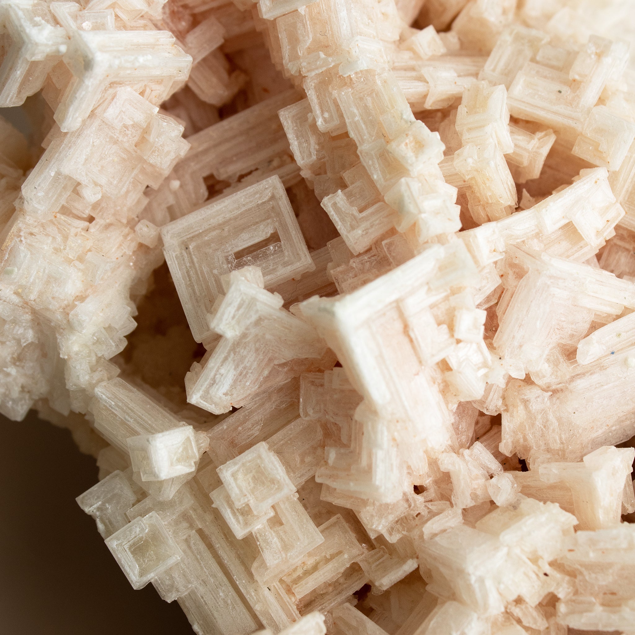 Halite Crystal Raman Pink Halite - Unique Crystal Specimen #1 – Muse + Moonstone