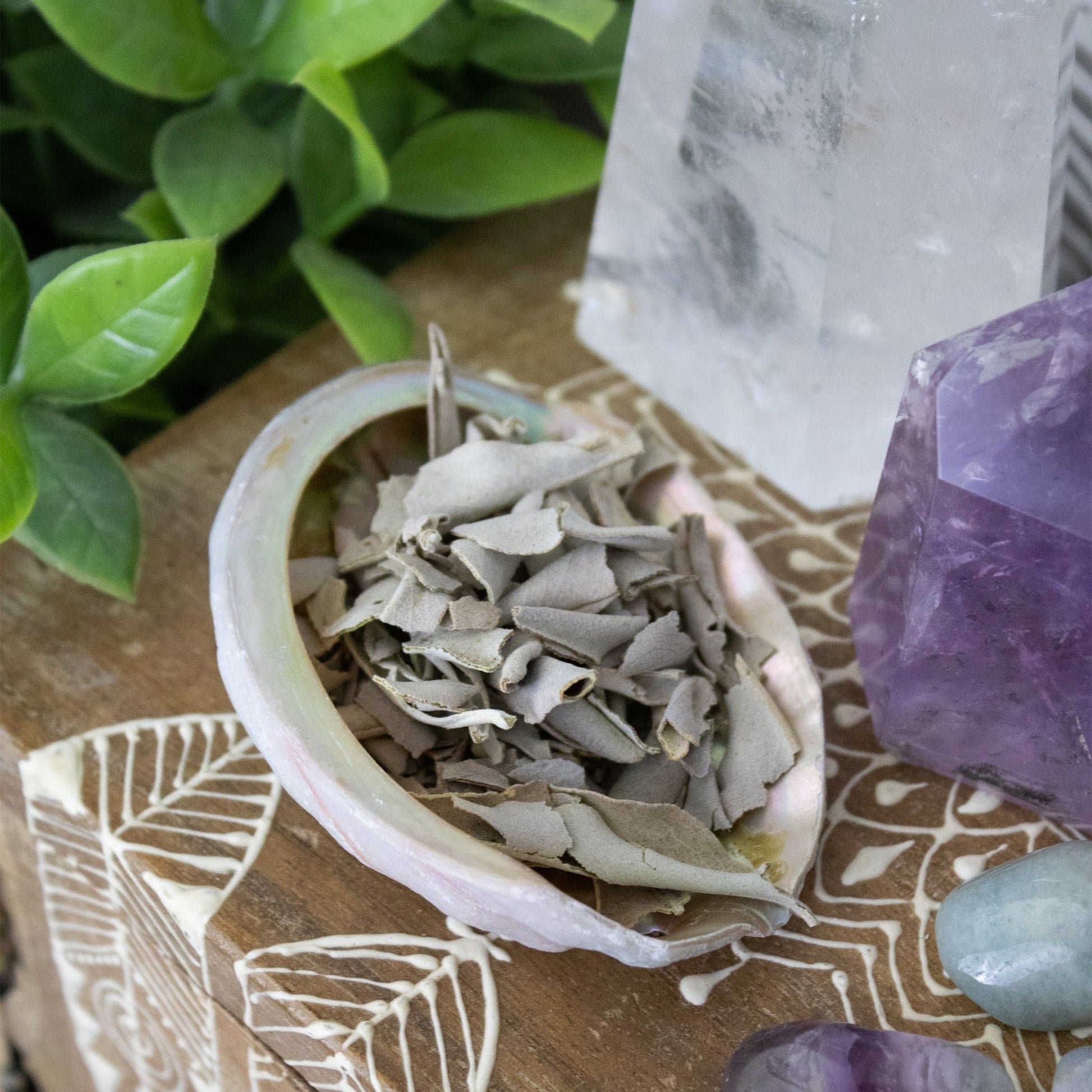 Sage Smudge + Abalone Shell Set - Muse + Moonstone