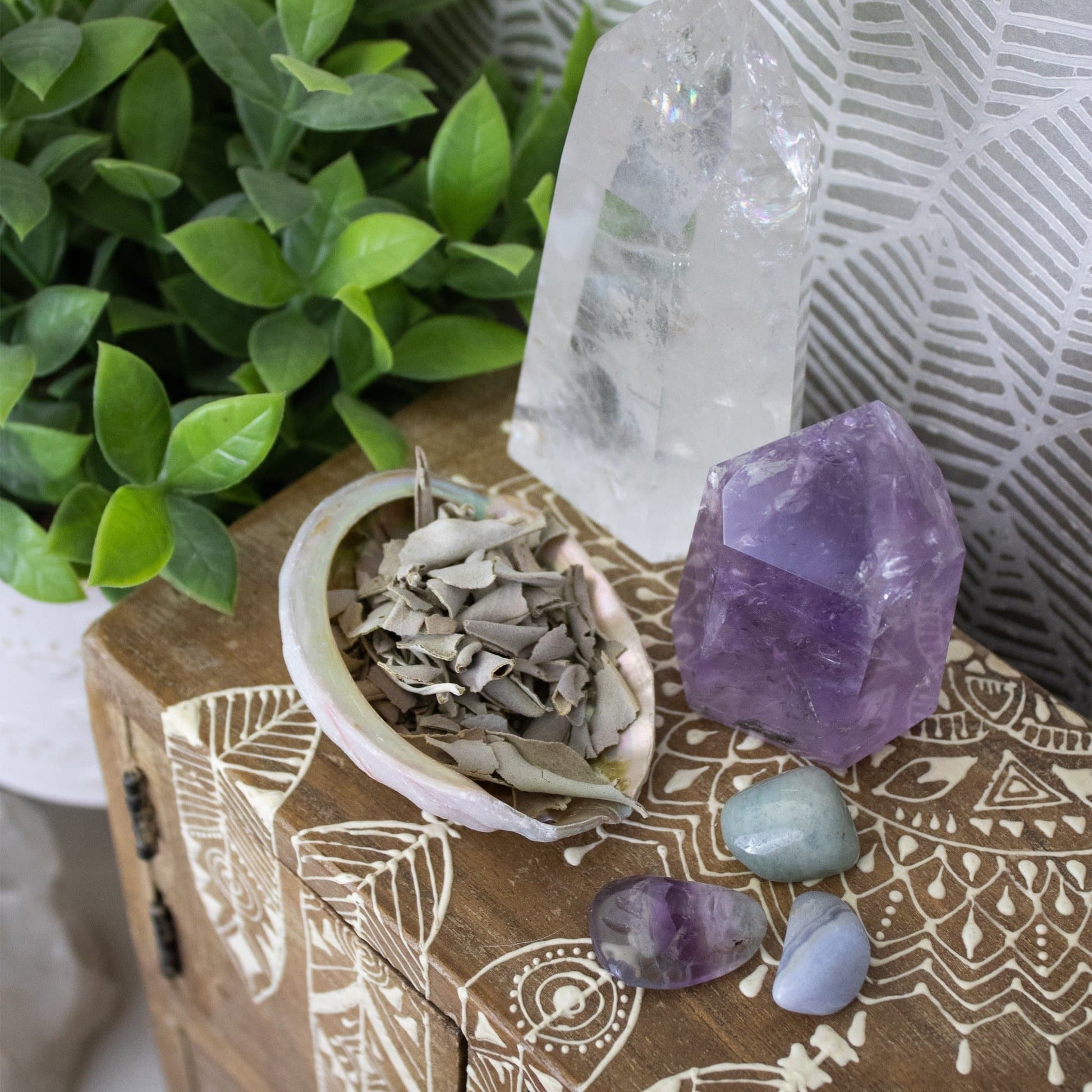 Sage Smudge + Abalone Shell Set - Muse + Moonstone